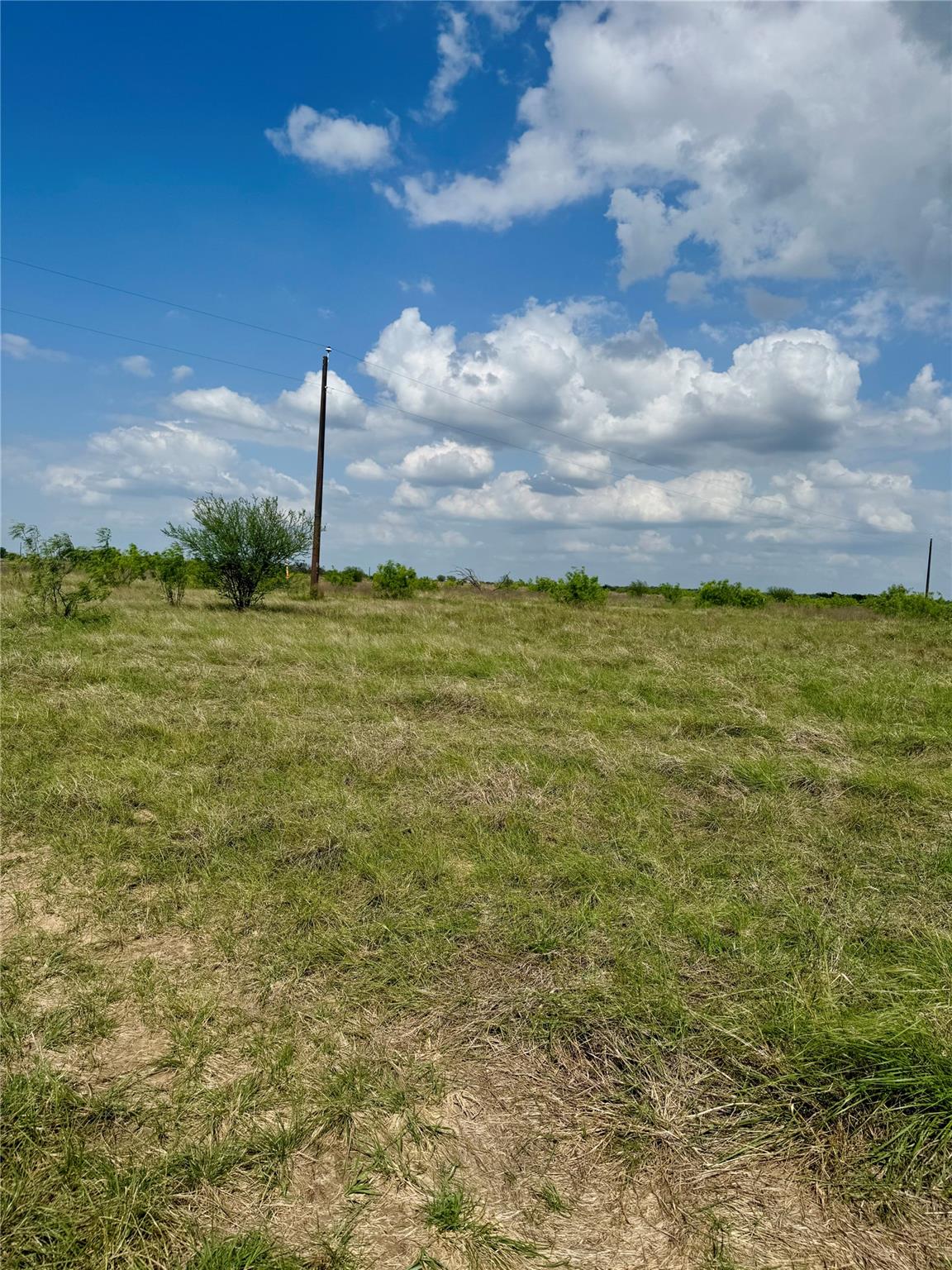 TBD Lot 14 CR 473, Thrall, TX 76578