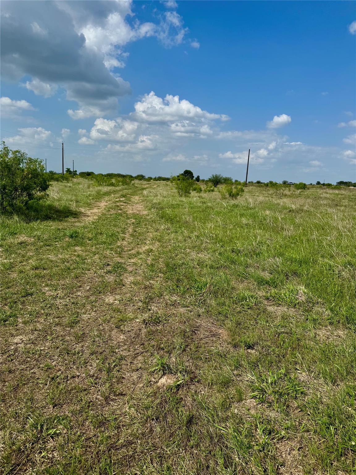 TBD Lot 14 CR 473, Thrall, TX 76578