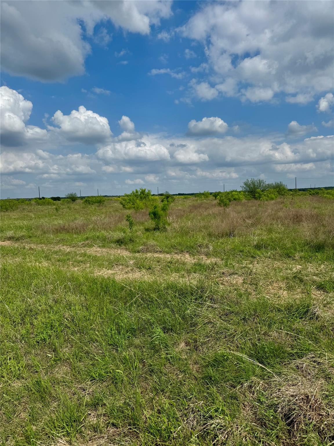 TBD Lot 14 CR 473, Thrall, TX 76578