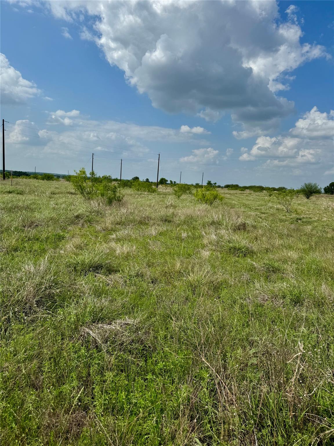 TBD Lot 14 CR 473, Thrall, TX 76578