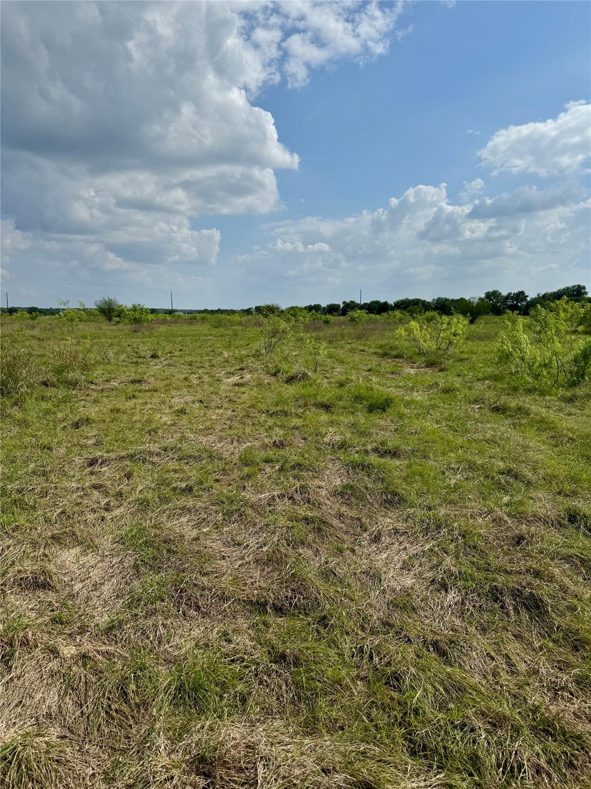 TBD Lot 14 CR 473, Thrall, TX 76578
