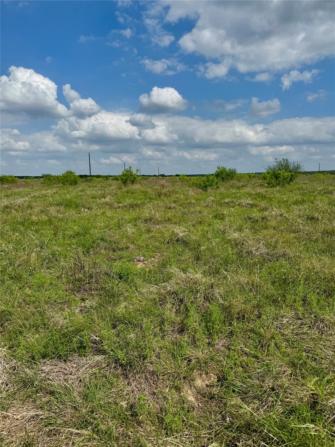 TBD Lot 14 CR 473, Thrall, TX 76578