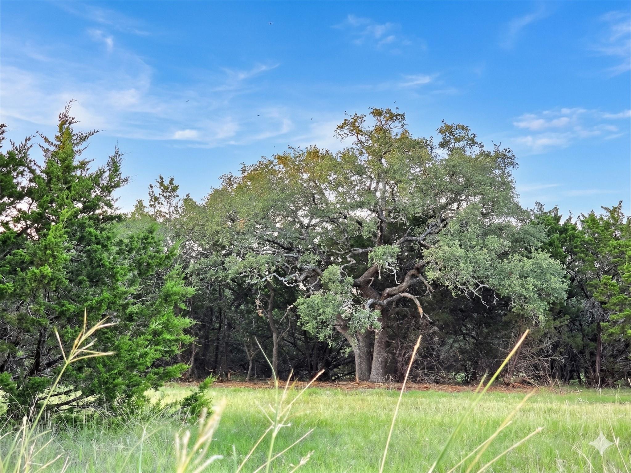 000 CR 206, Lampasas, TX 76550