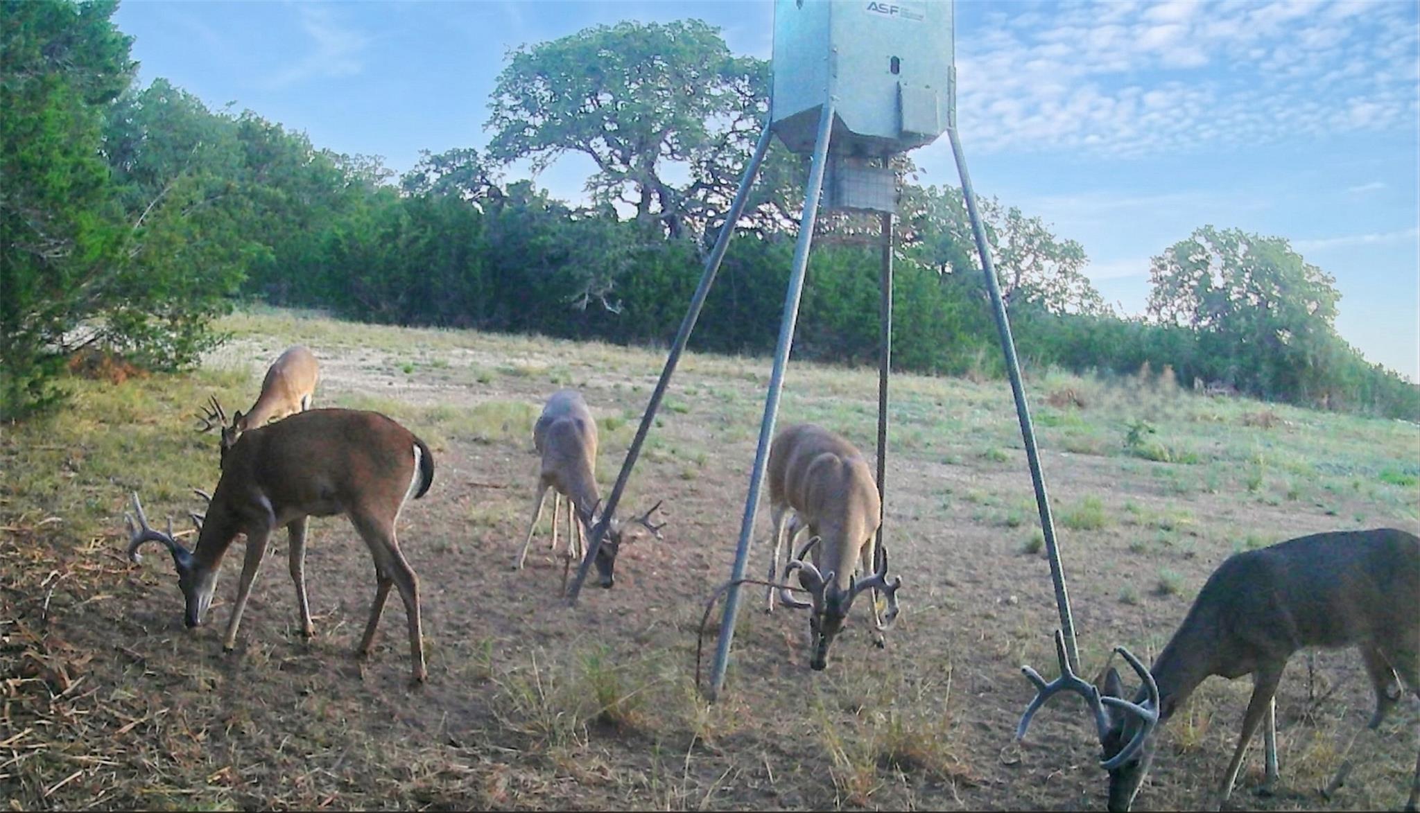 000 CR 206, Lampasas, TX 76550