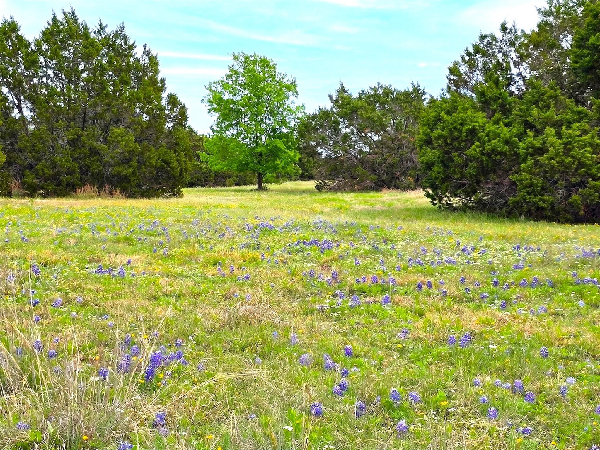 000 CR 206, Lampasas, TX 76550