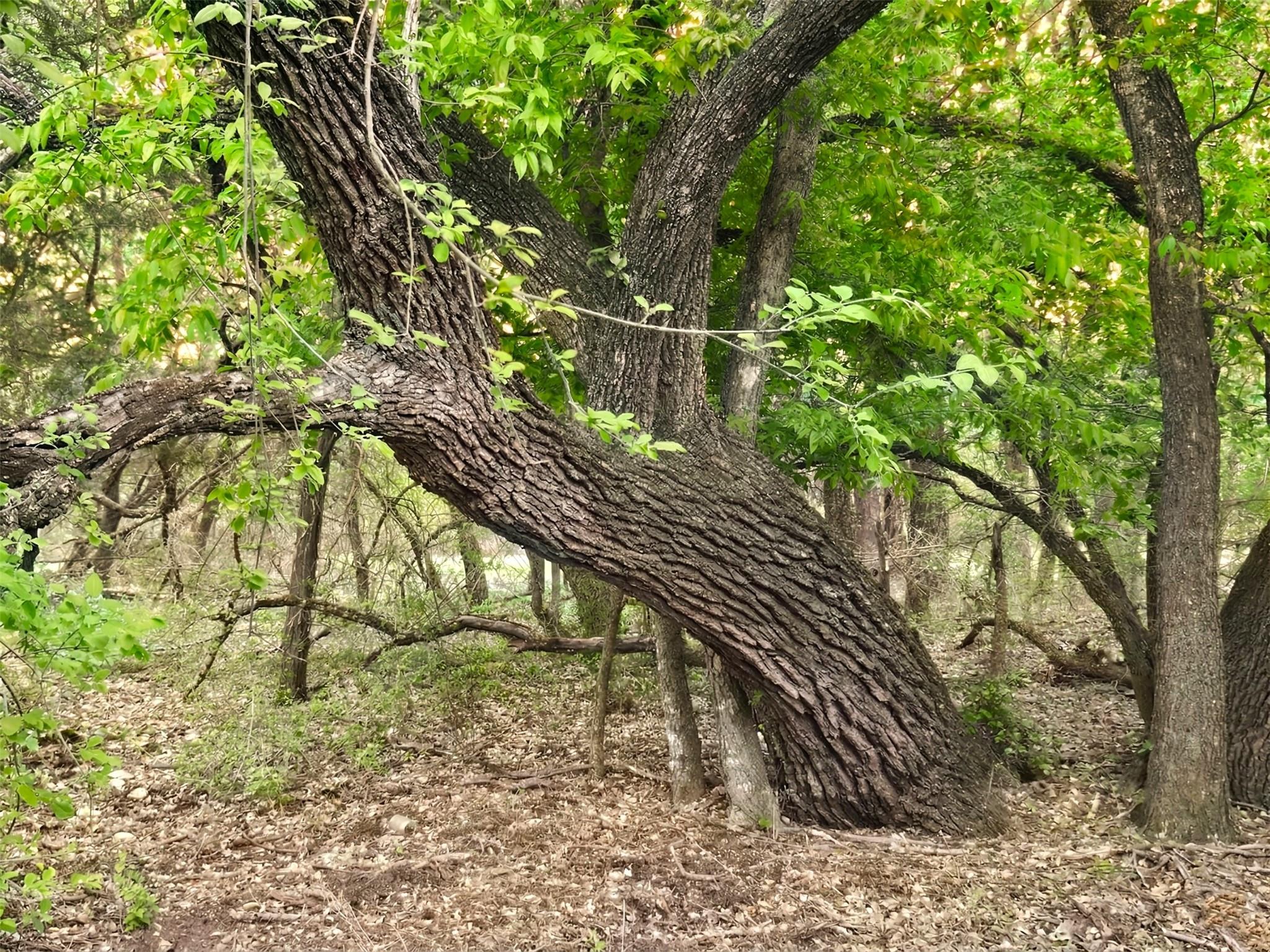 000 CR 206, Lampasas, TX 76550