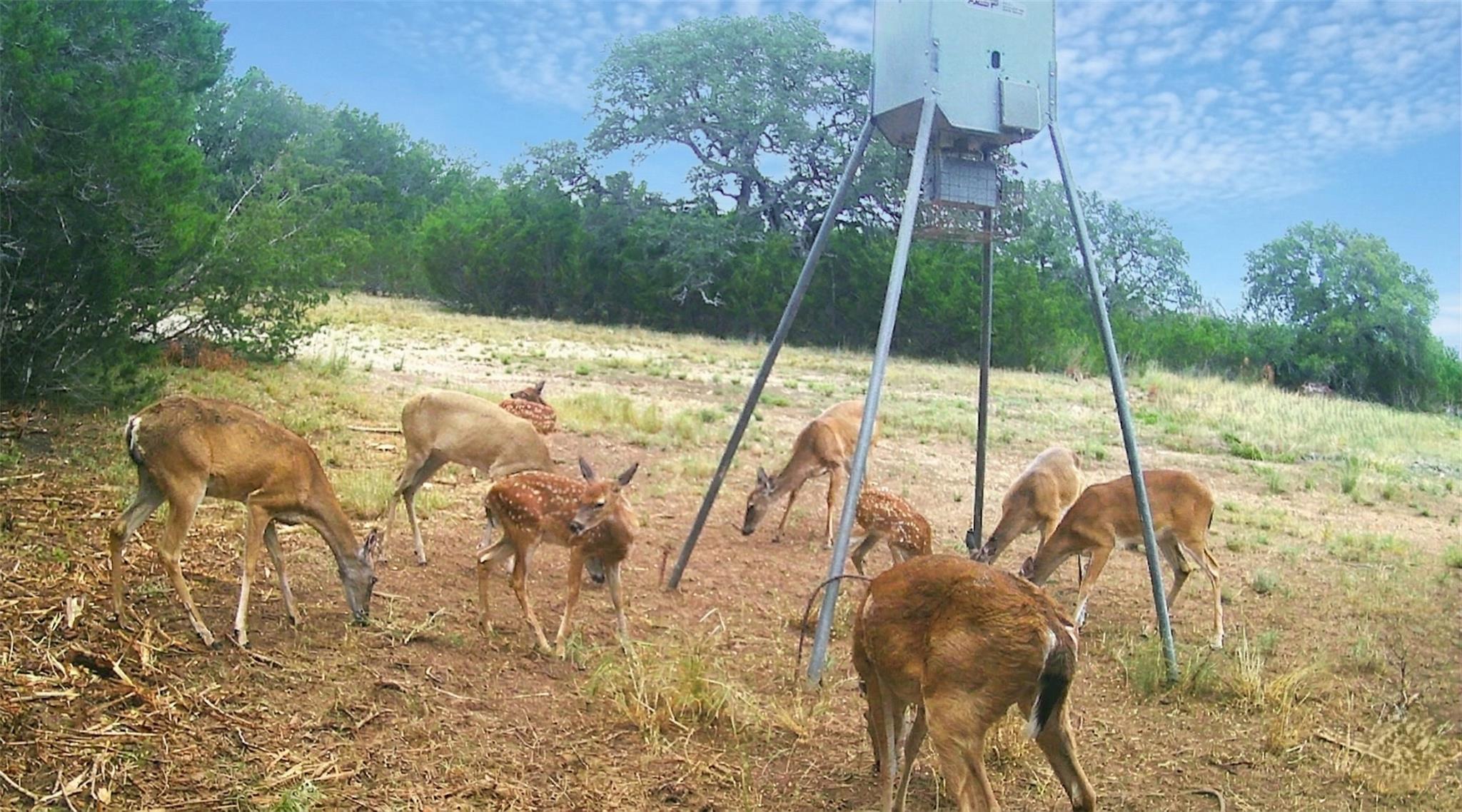 000 CR 206, Lampasas, TX 76550