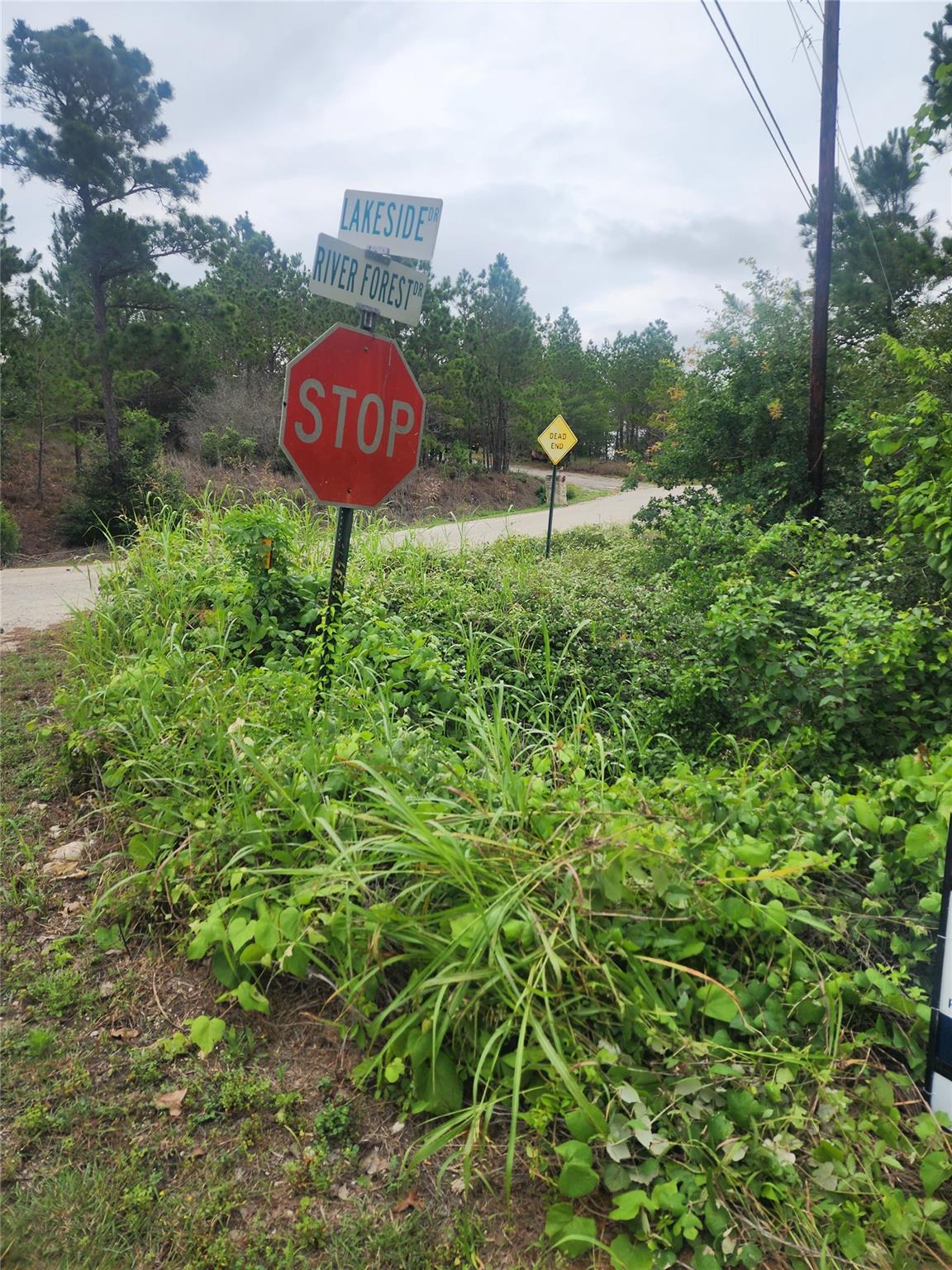 lot 70 Lakeside Dr, Bastrop, TX 78602