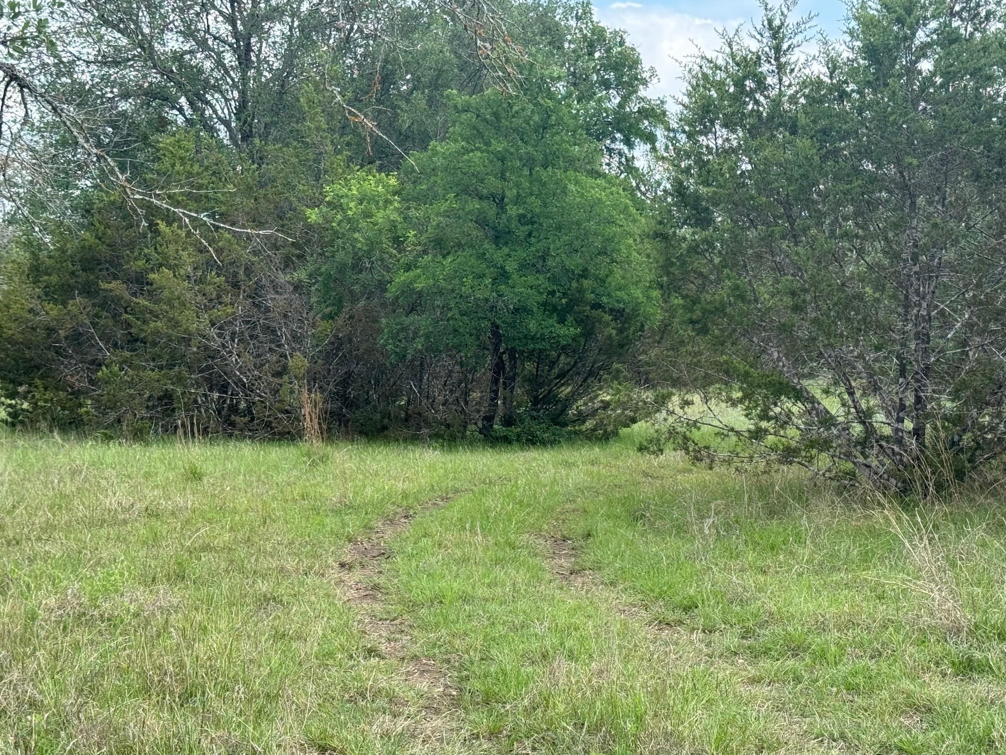 Lot 41 Maverick Way, Briggs, TX 78608