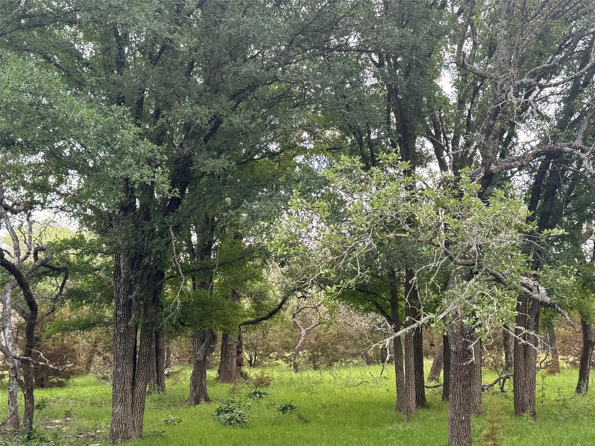 Lot 41 Maverick Way, Briggs, TX 78608