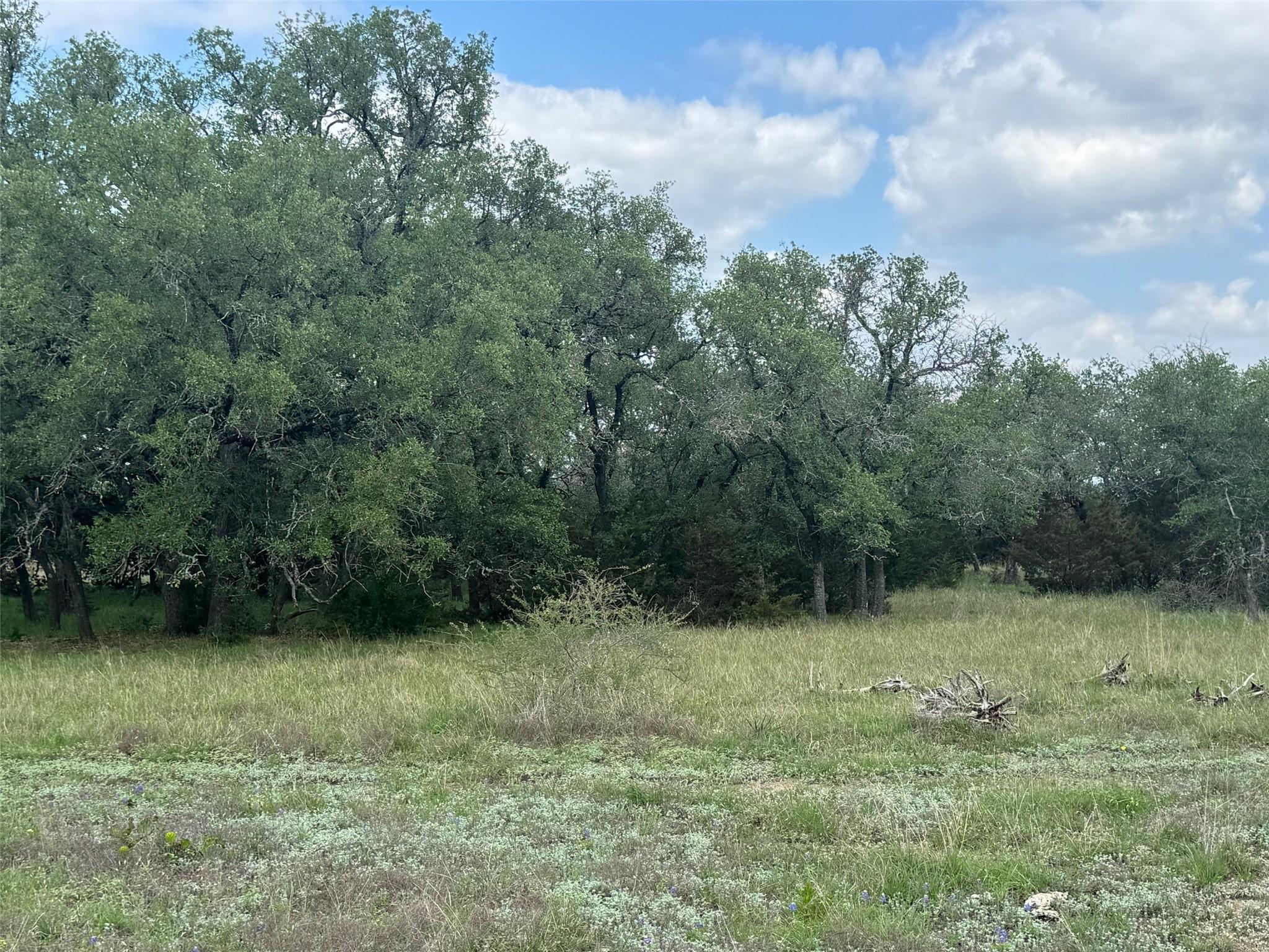 Lot 41 Maverick Way, Briggs, TX 78608