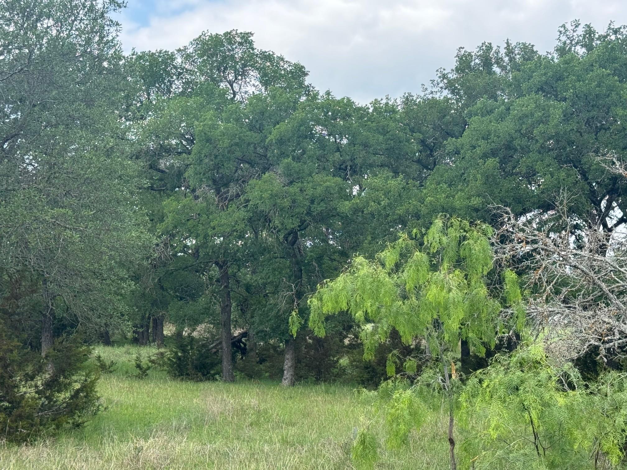 Lot 41 Maverick Way, Briggs, TX 78608