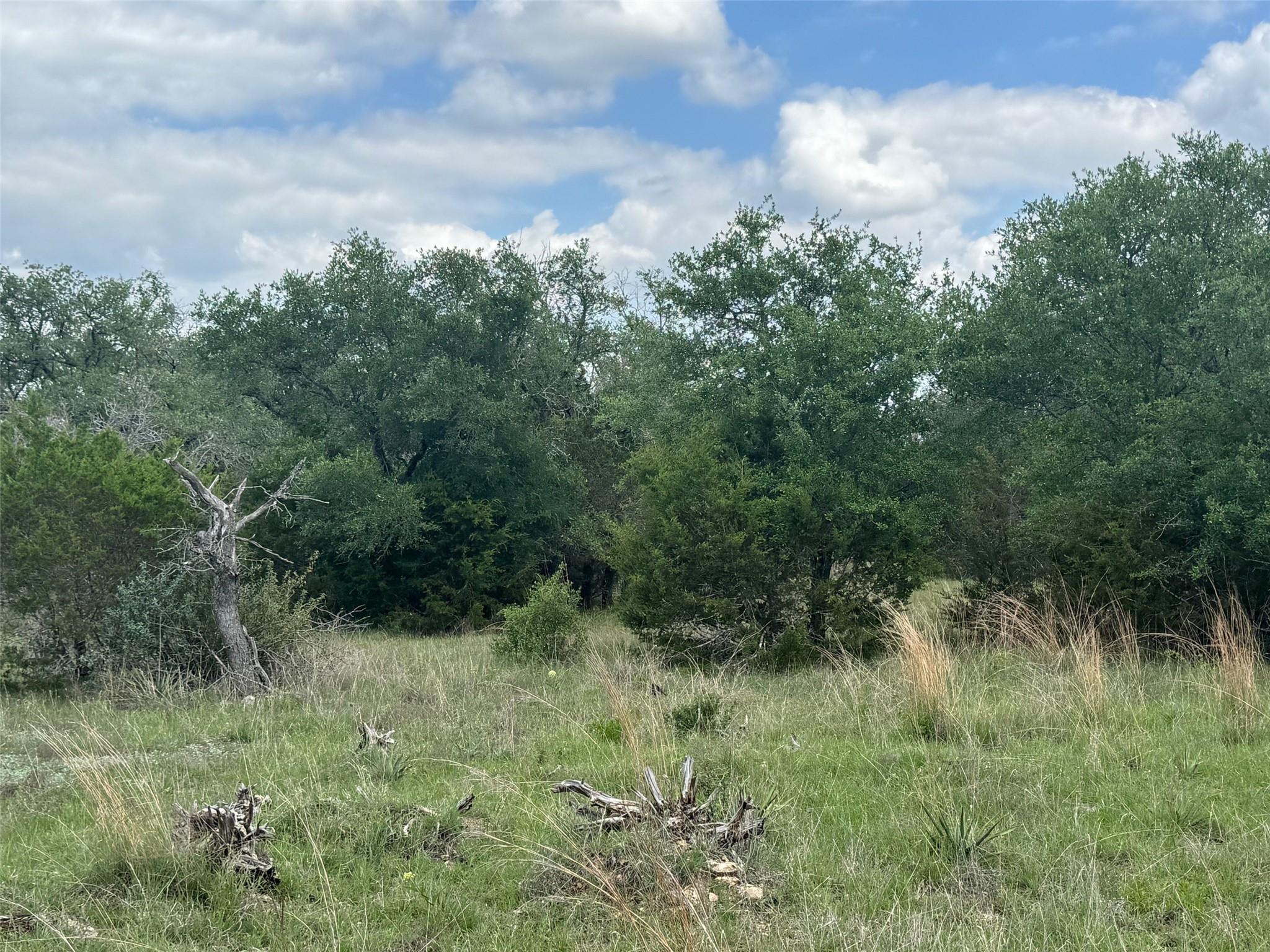 Lot 41 Maverick Way, Briggs, TX 78608