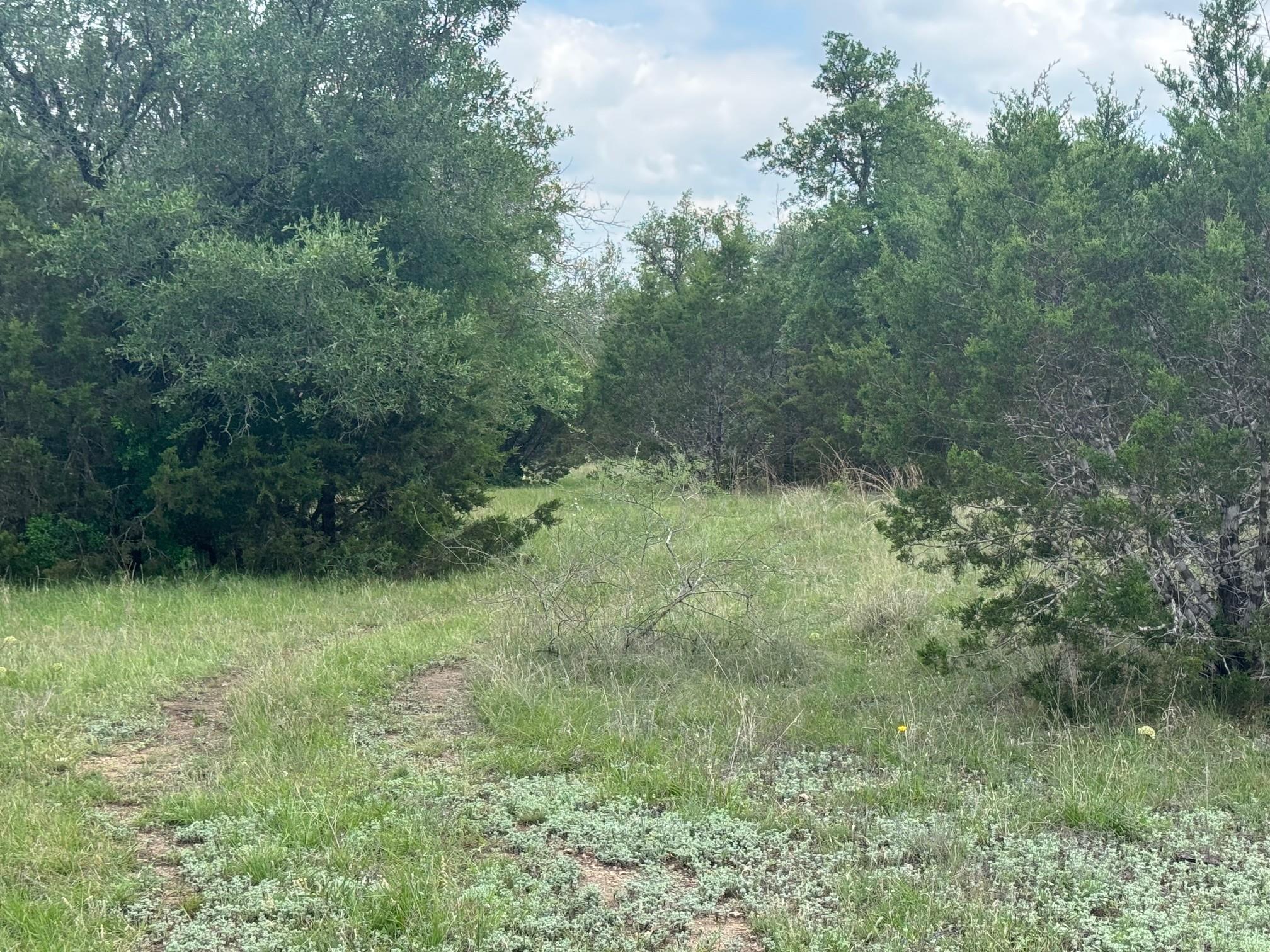 Lot 41 Maverick Way, Briggs, TX 78608