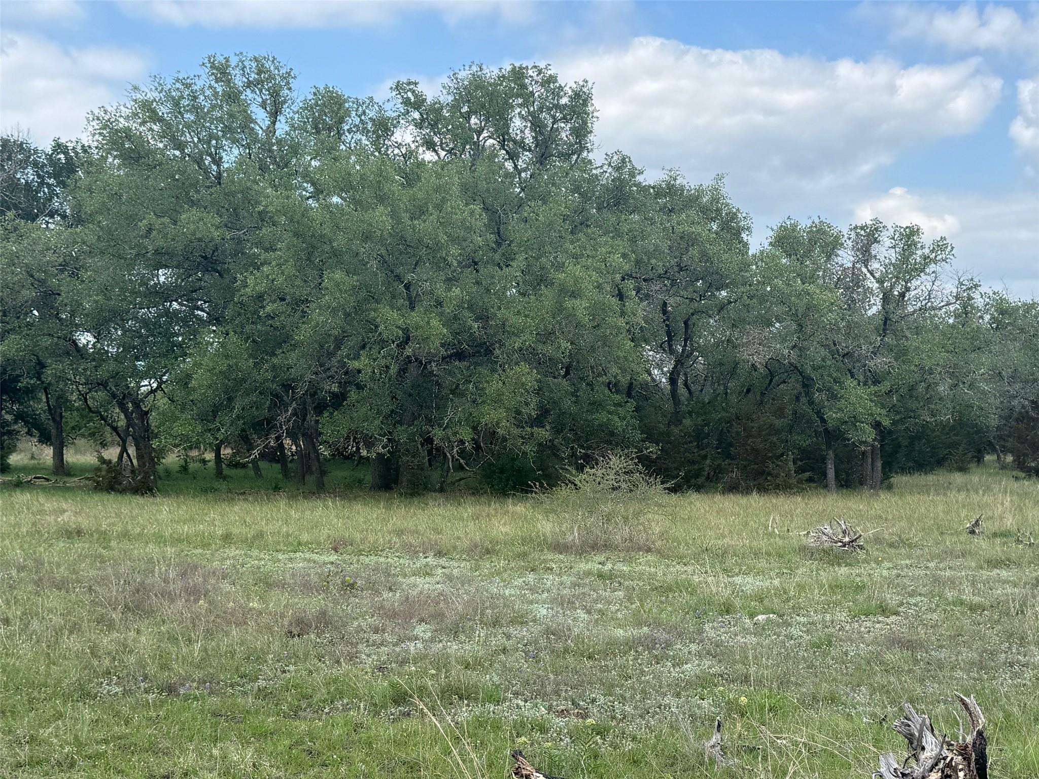 Lot 41 Maverick Way, Briggs, TX 78608