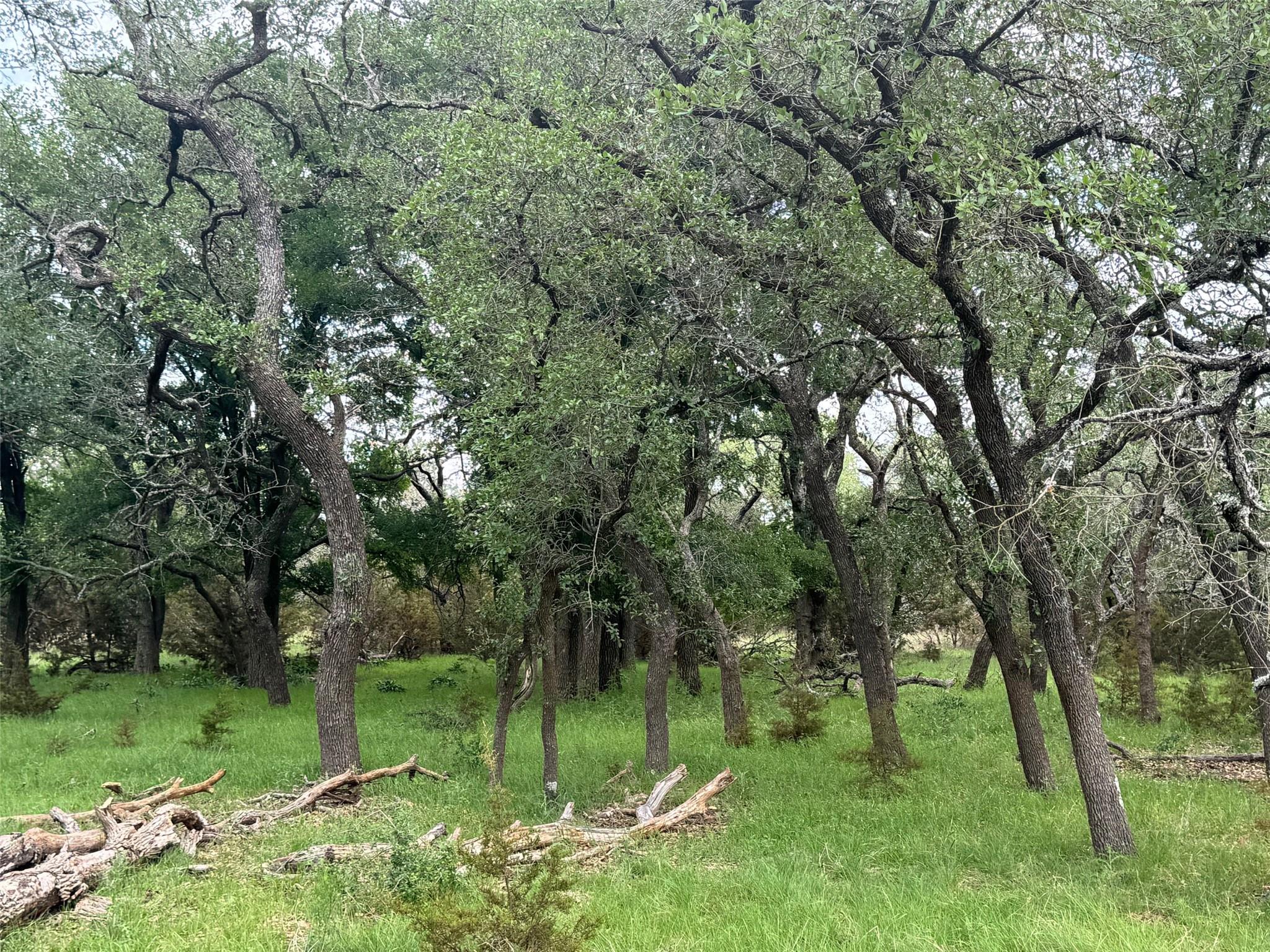 Lot 41 Maverick Way, Briggs, TX 78608