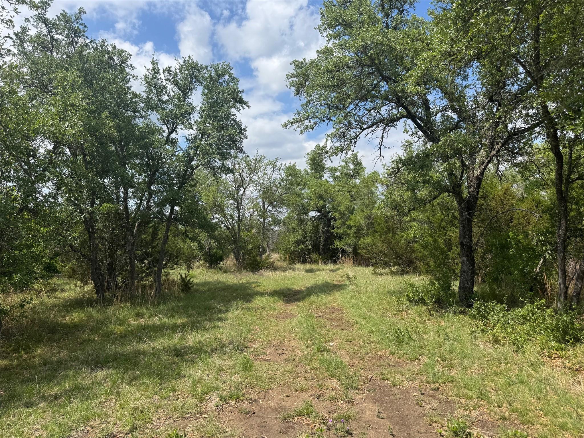Lot 41 Maverick Way, Briggs, TX 78608