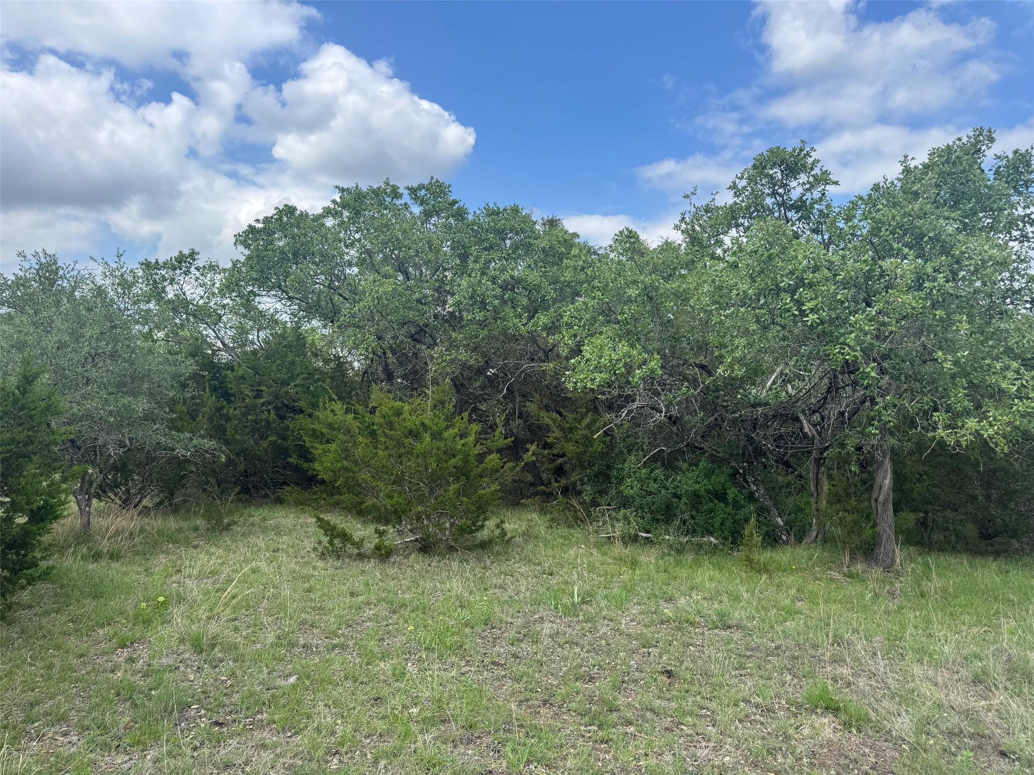 Lot 41 Maverick Way, Briggs, TX 78608