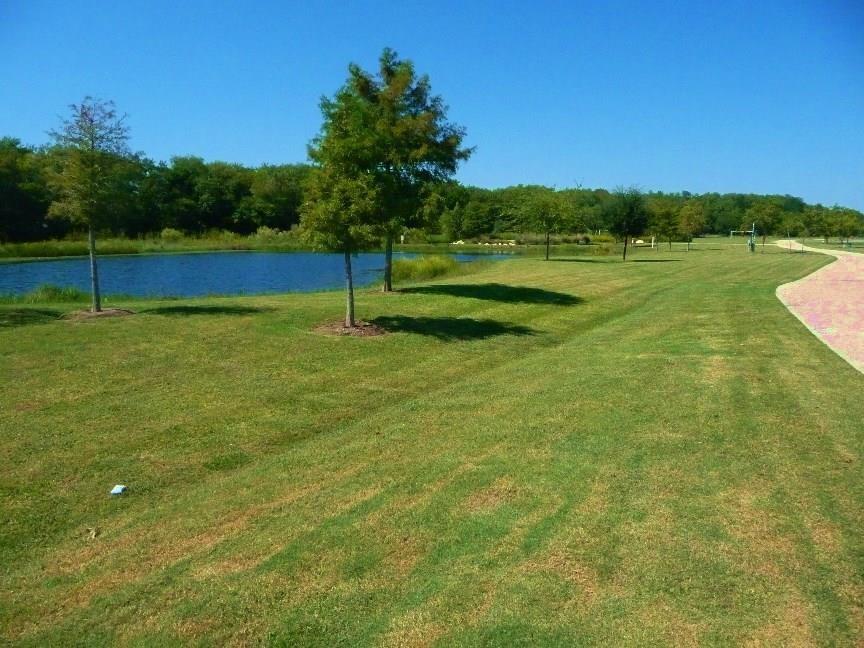 1118 Walnut Canyon Blvd, Pflugerville, TX 78660