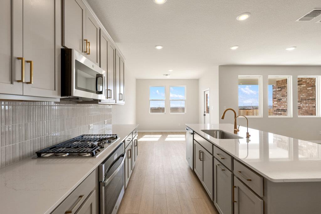 1413 Dog Iron St, Georgetown, TX 78633