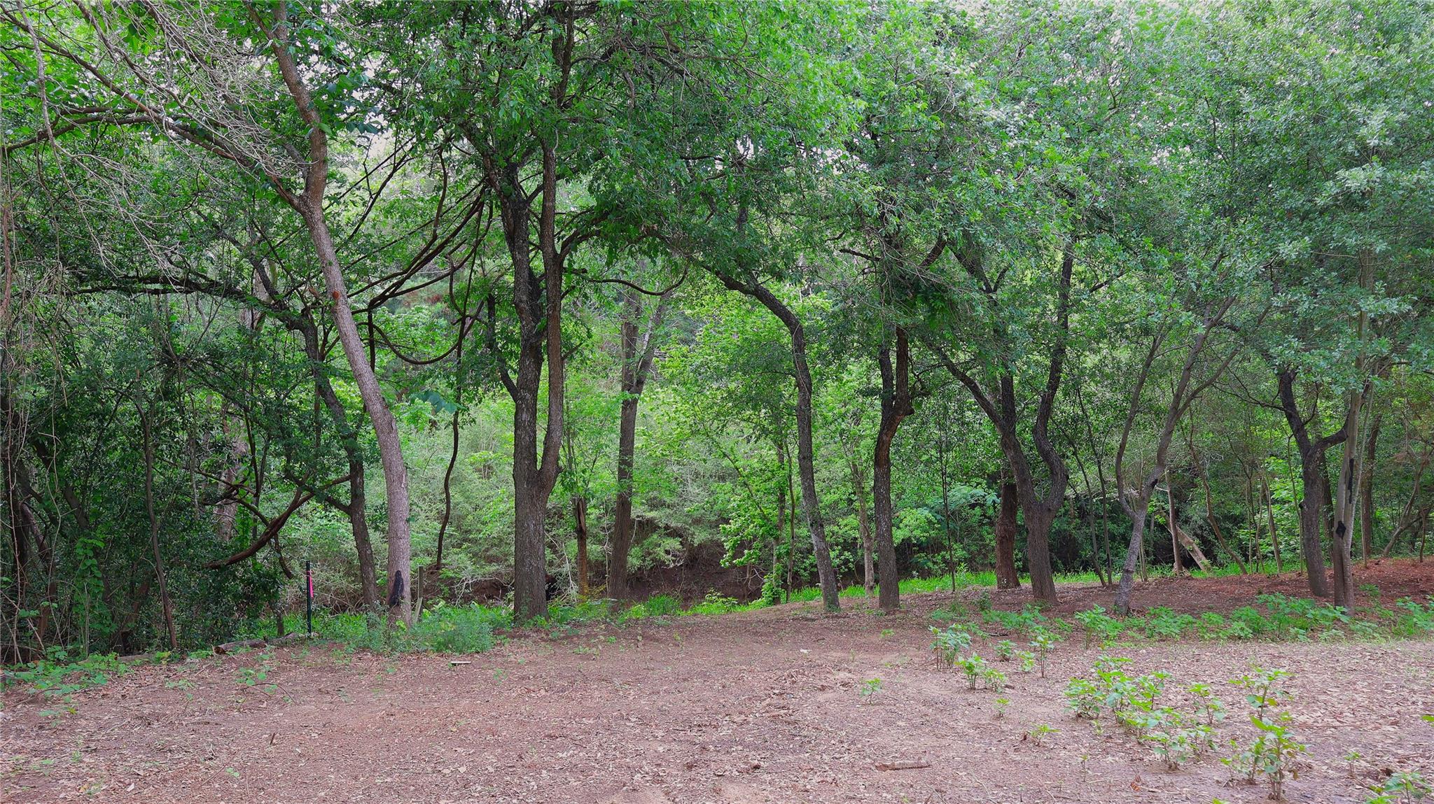 175 Ash St, Bastrop, TX 78602