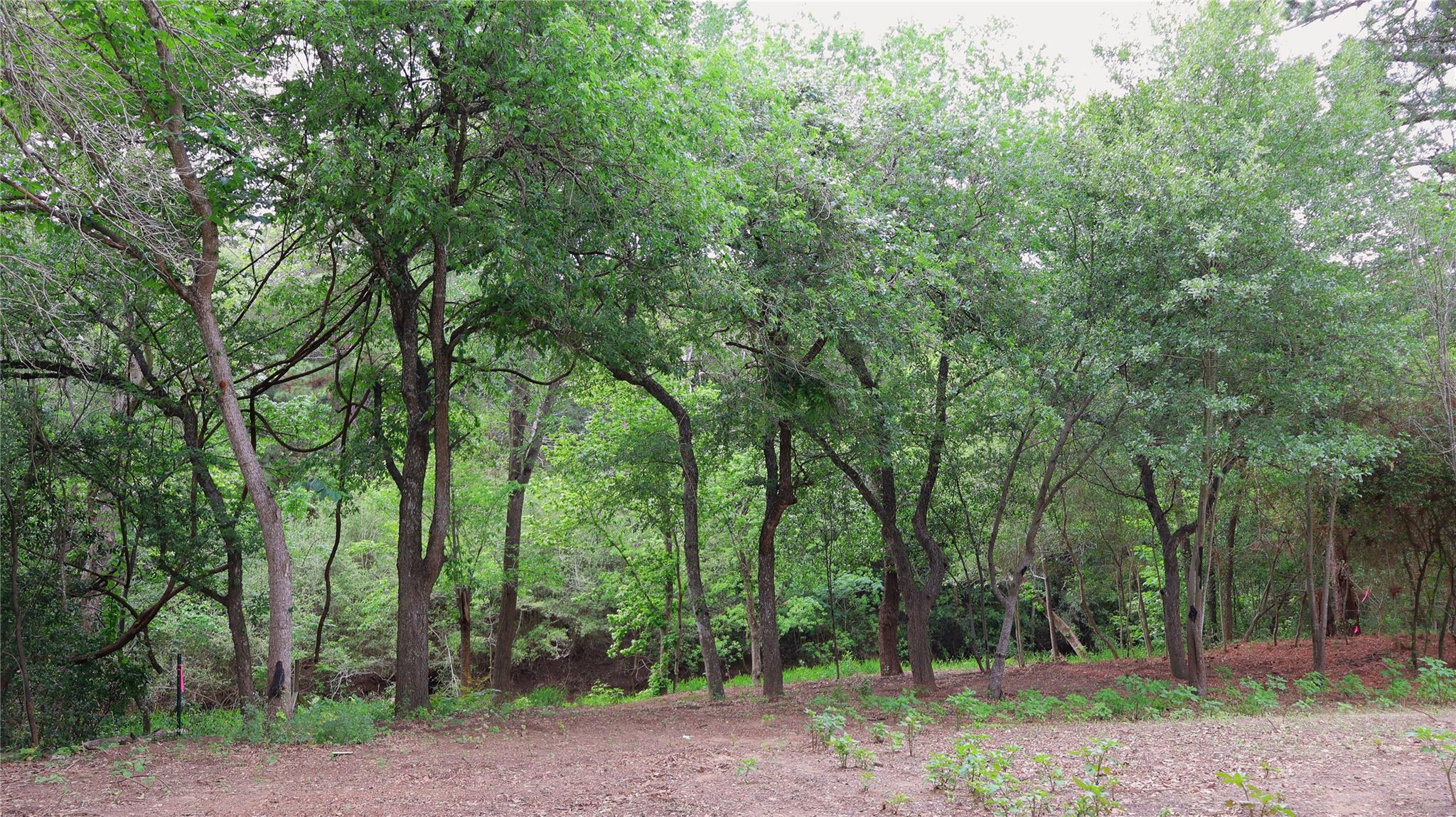 175 Ash St, Bastrop, TX 78602