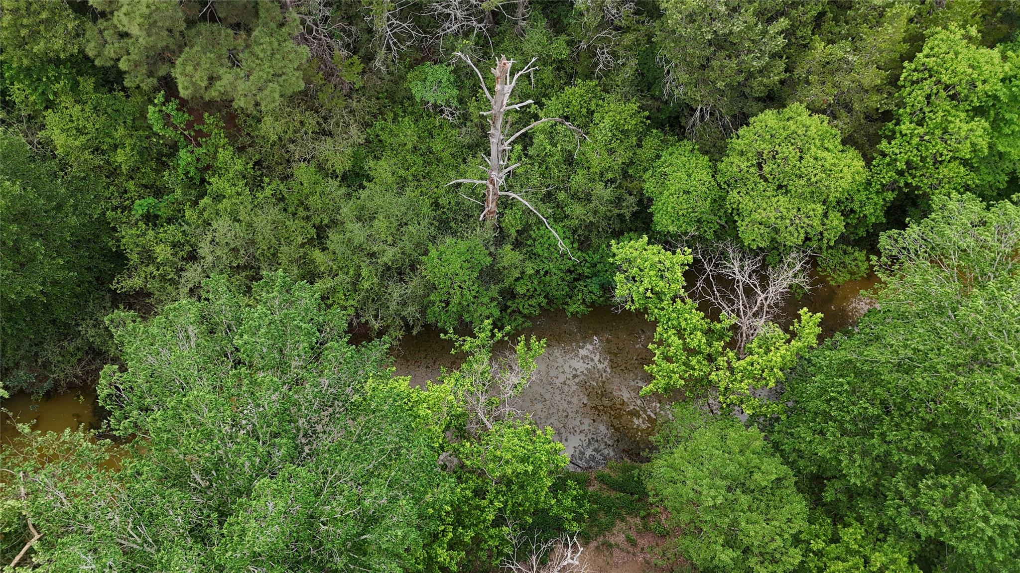 175 Ash St, Bastrop, TX 78602
