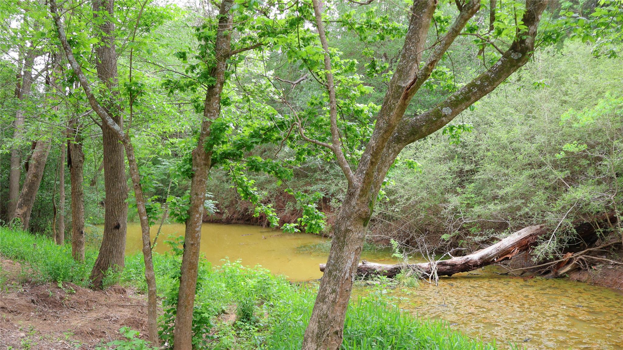 175 Ash St, Bastrop, TX 78602