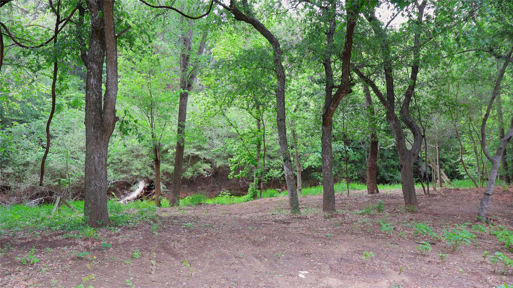175 Ash St, Bastrop, TX 78602