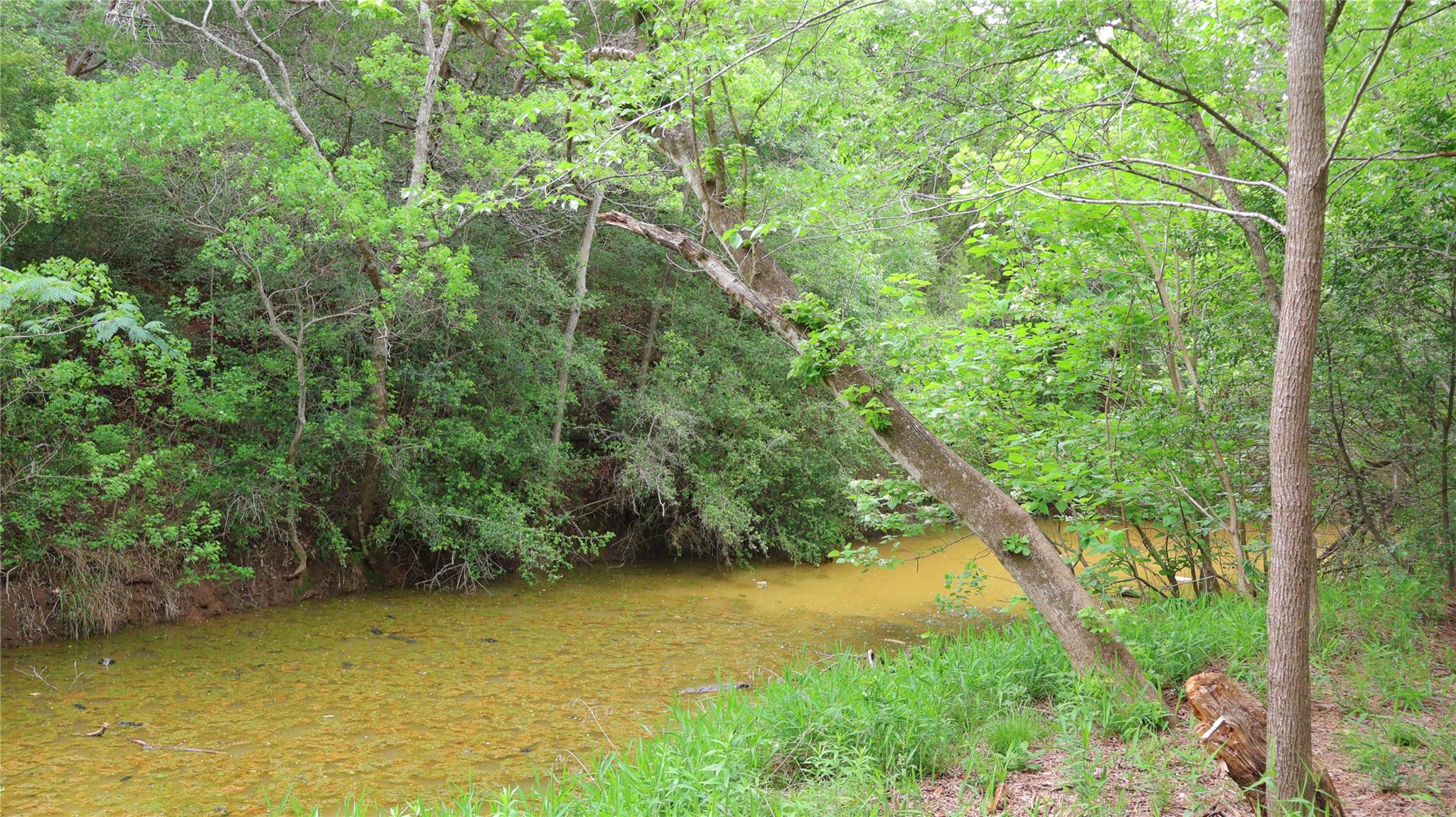 175 Ash St, Bastrop, TX 78602