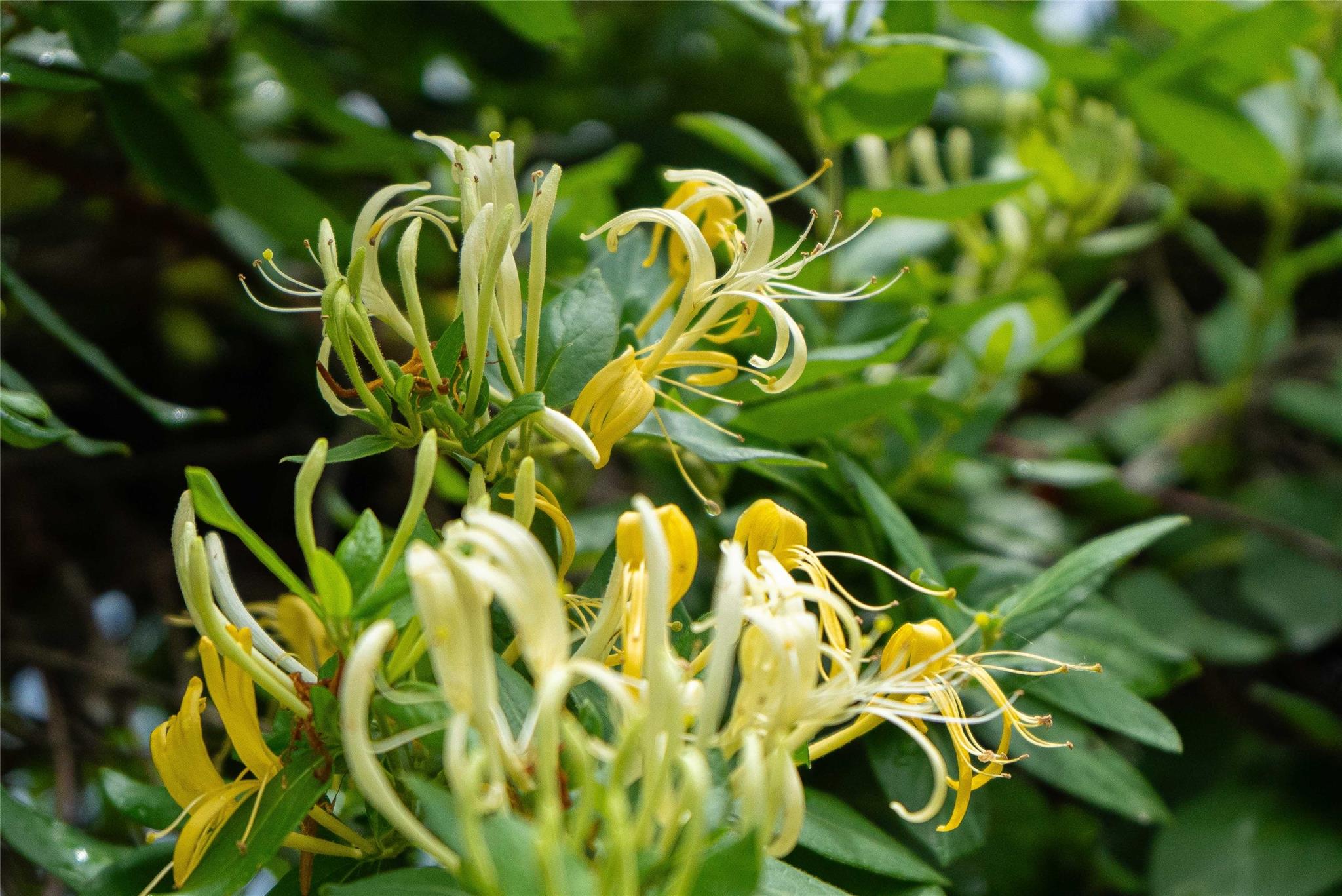 802 Smith Rd, Rockdale, TX 76567