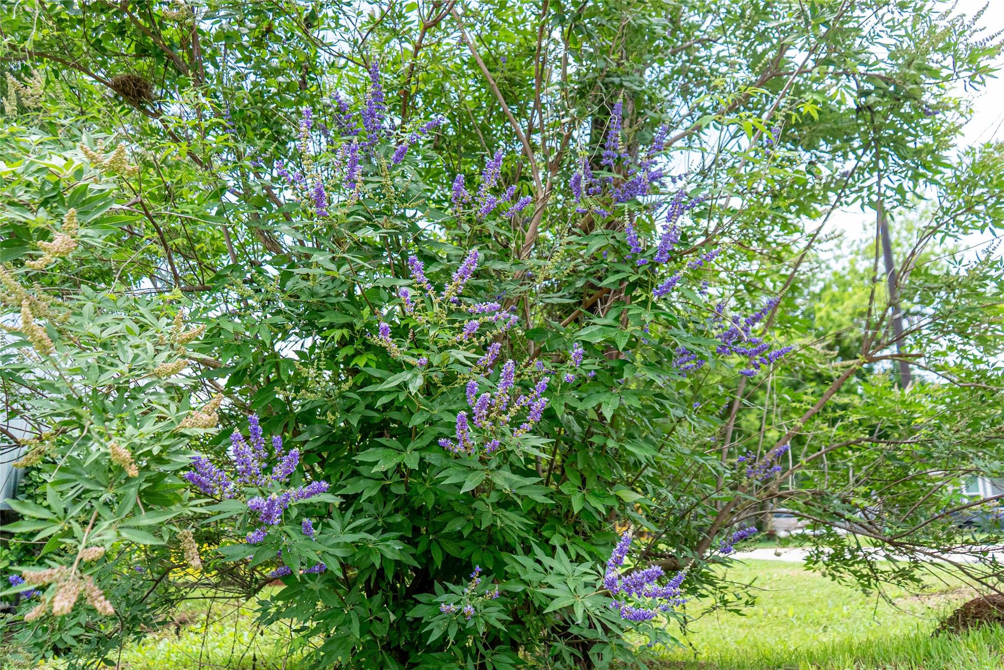 802 Smith Rd, Rockdale, TX 76567