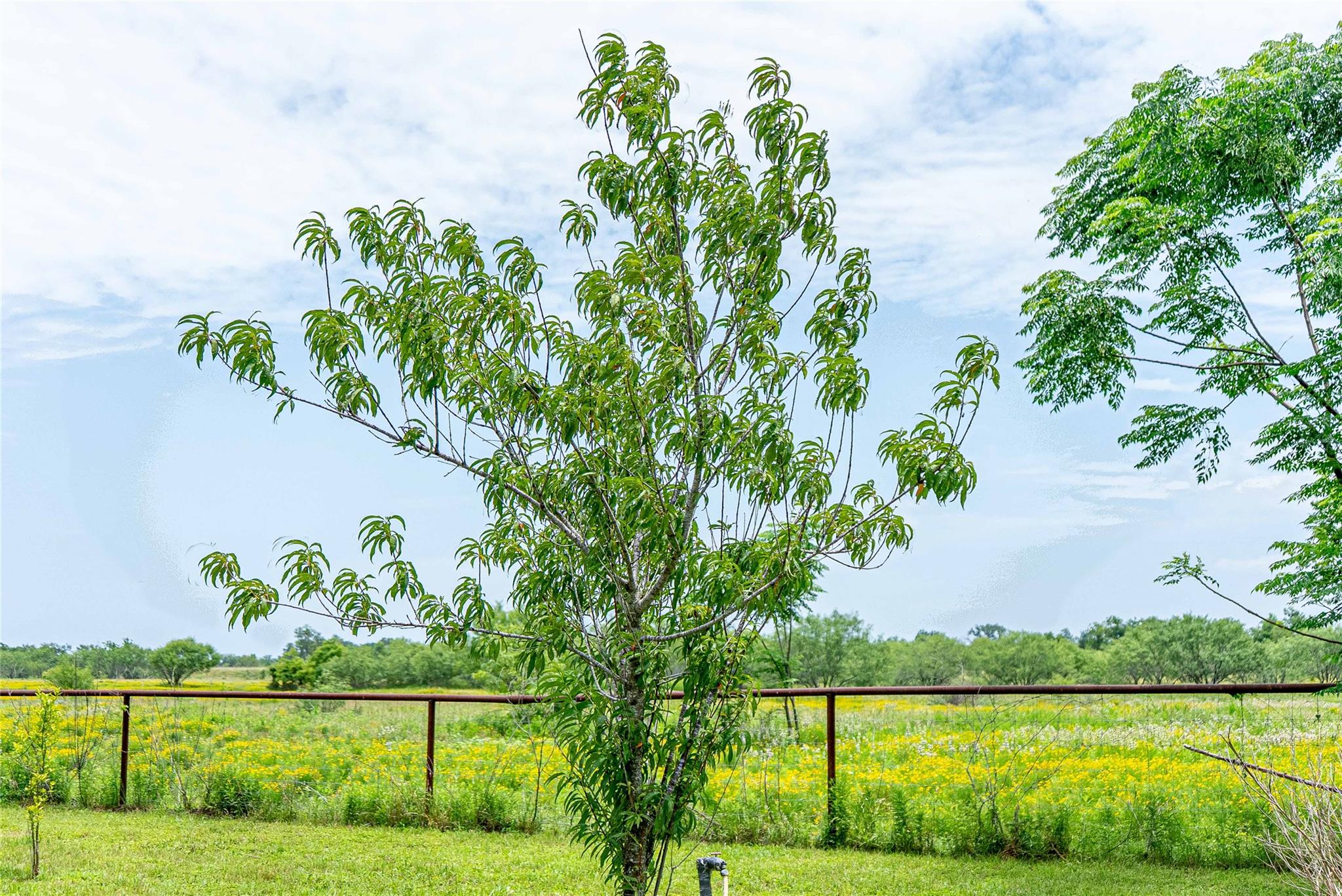 802 Smith Rd, Rockdale, TX 76567