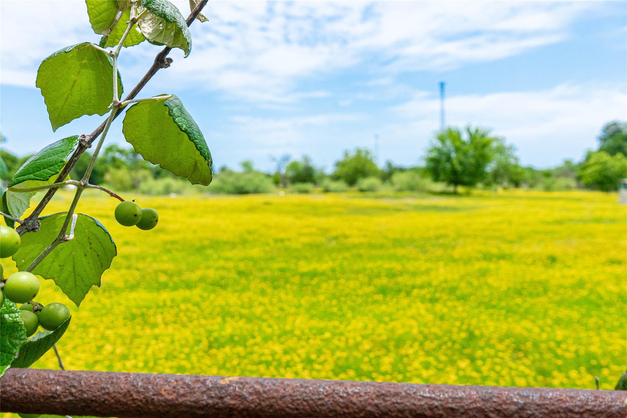 802 Smith Rd, Rockdale, TX 76567