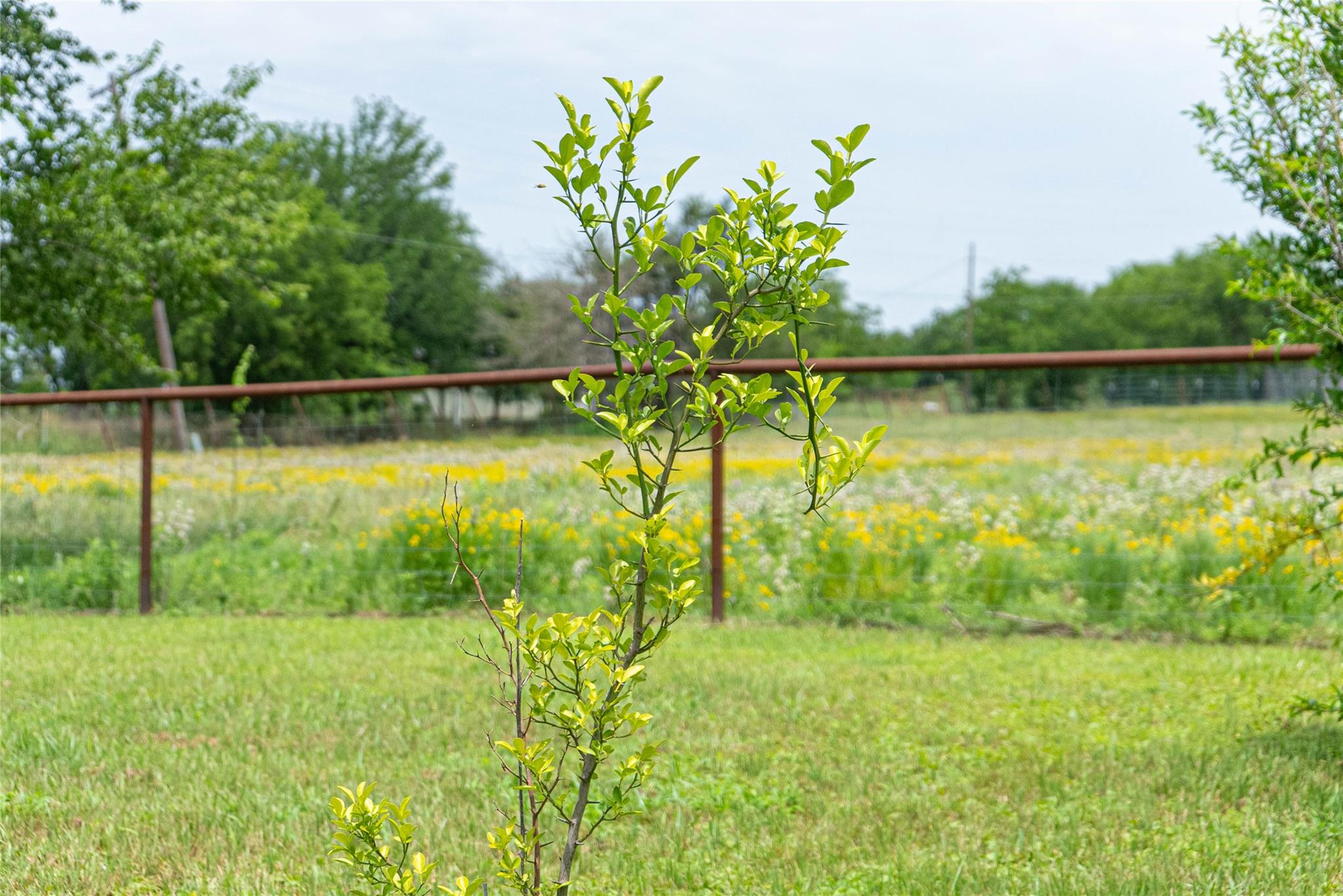 802 Smith Rd, Rockdale, TX 76567