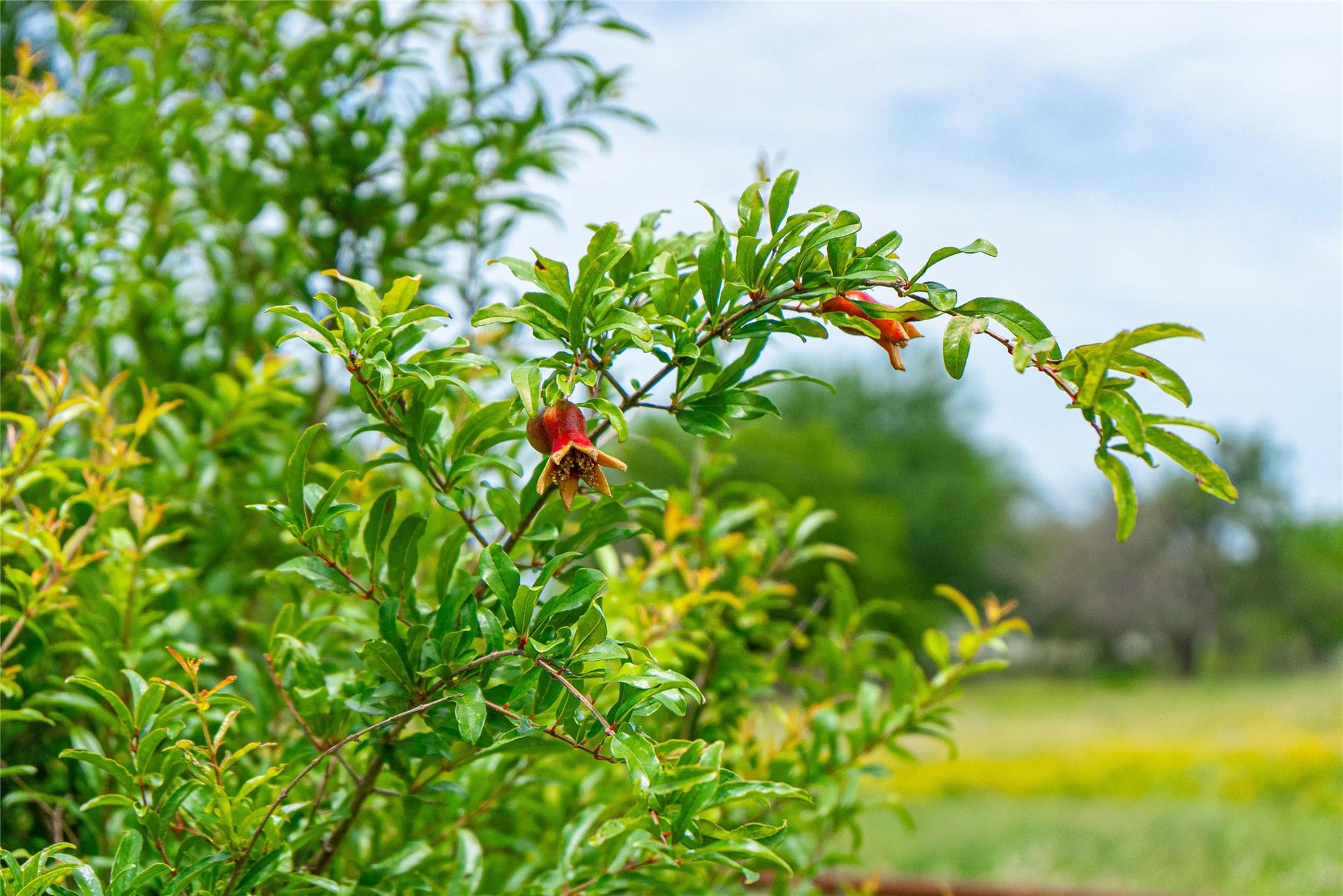 802 Smith Rd, Rockdale, TX 76567