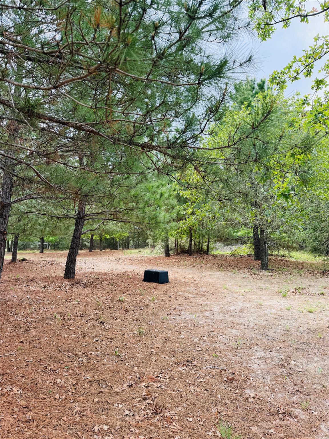 TBD Buckhorn Dr, Bastrop, TX 78602