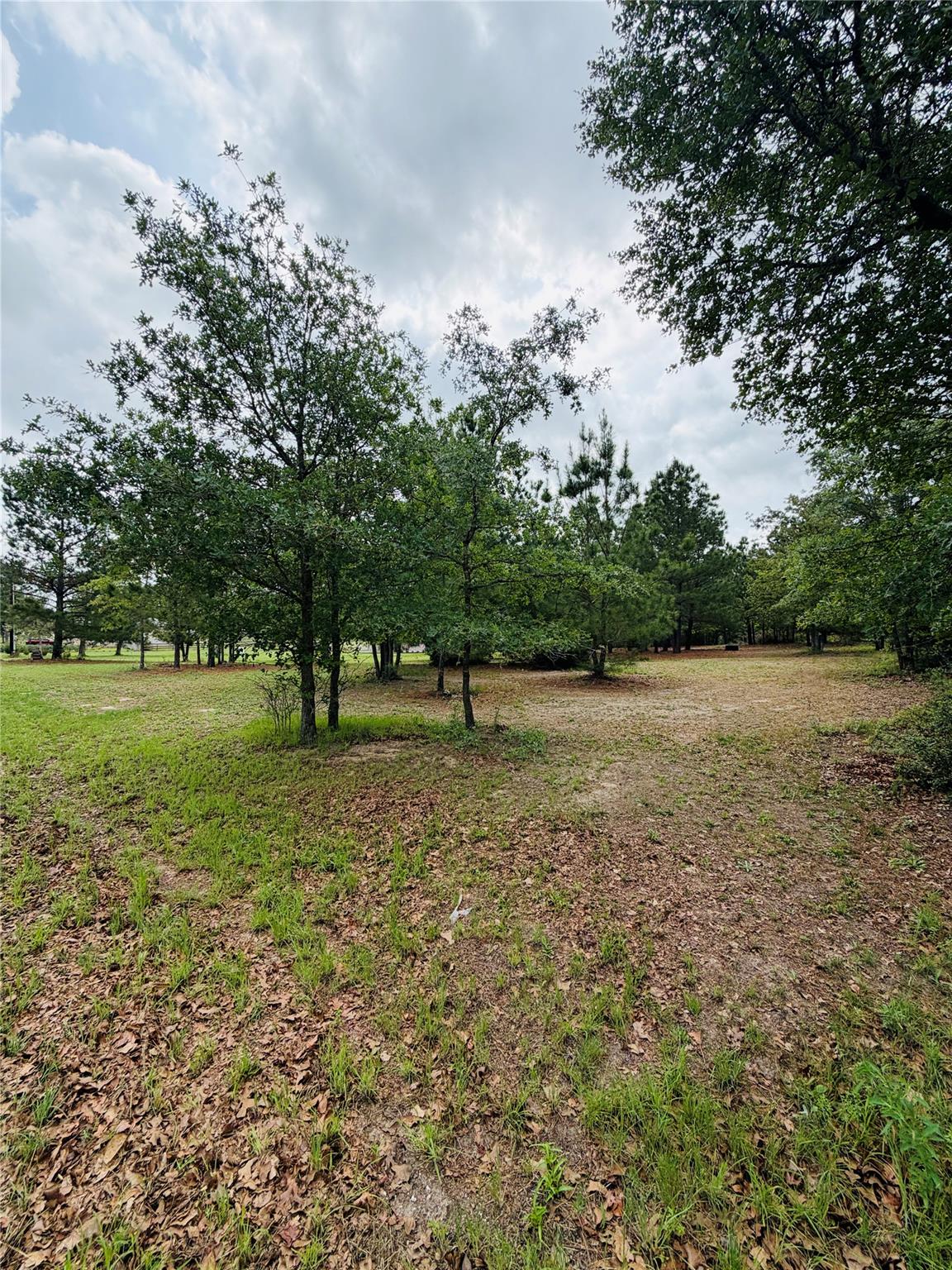 TBD Buckhorn Dr, Bastrop, TX 78602