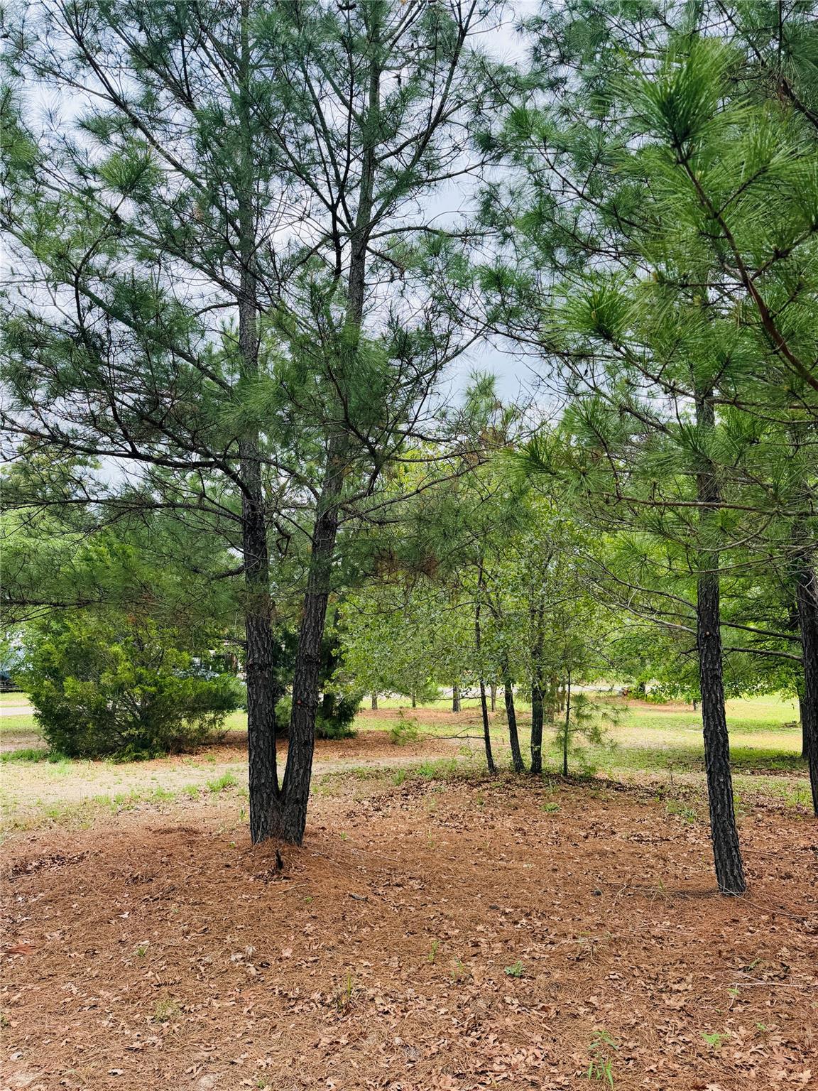 TBD Buckhorn Dr, Bastrop, TX 78602