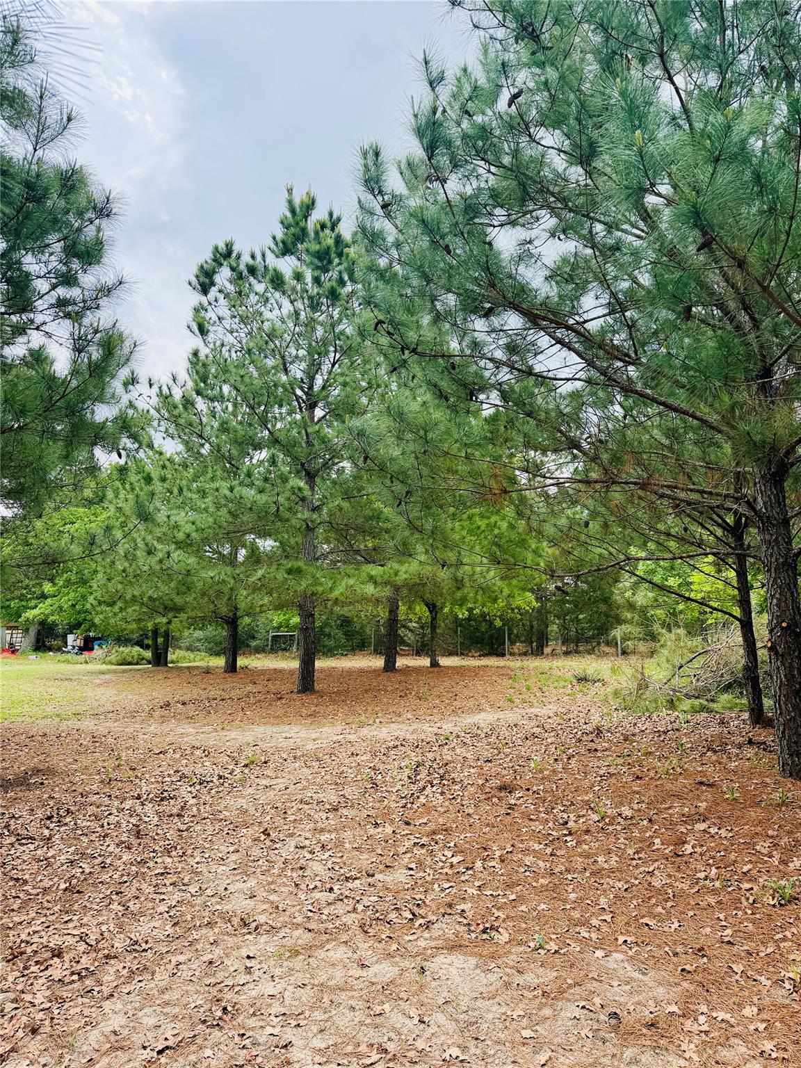 TBD Buckhorn Dr, Bastrop, TX 78602