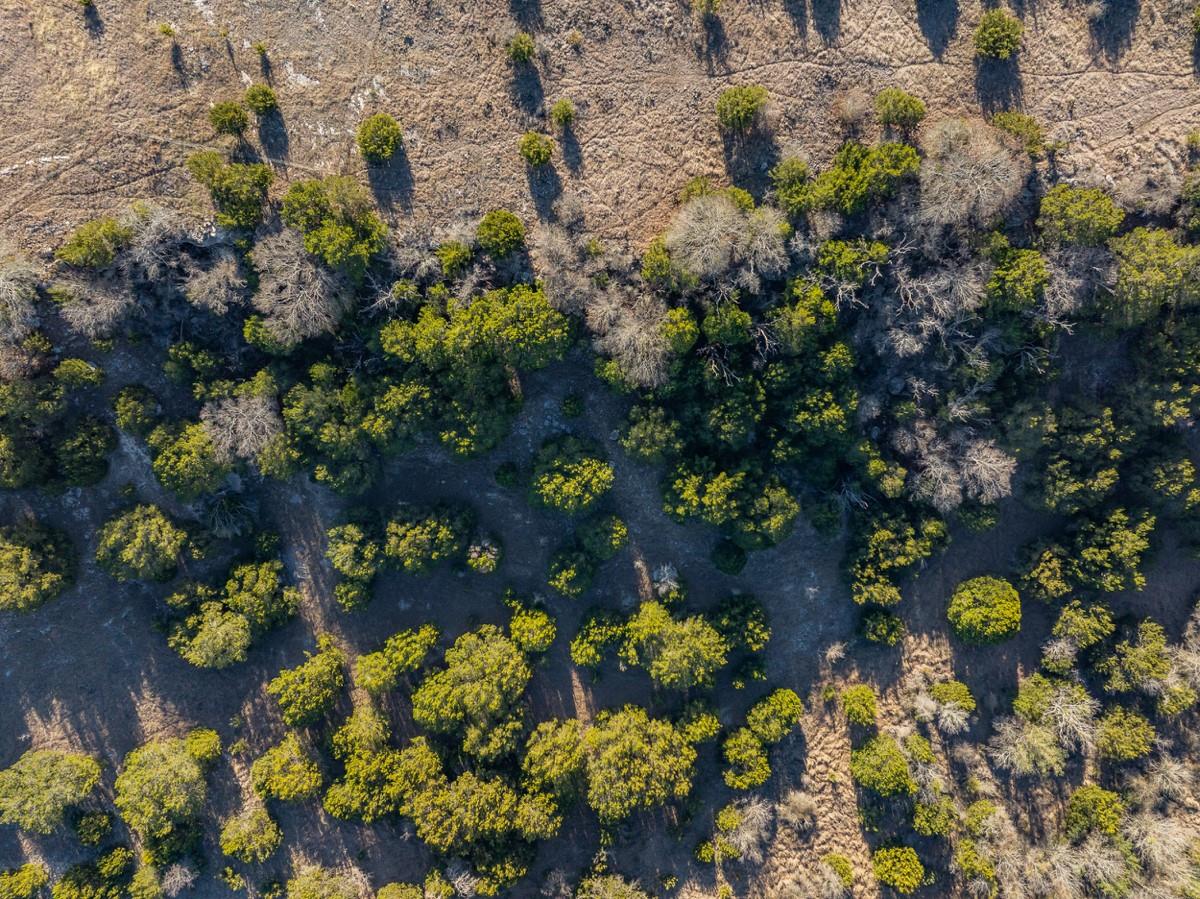 TBD Gandy Rd # 3900, Gatesville, TX 76528