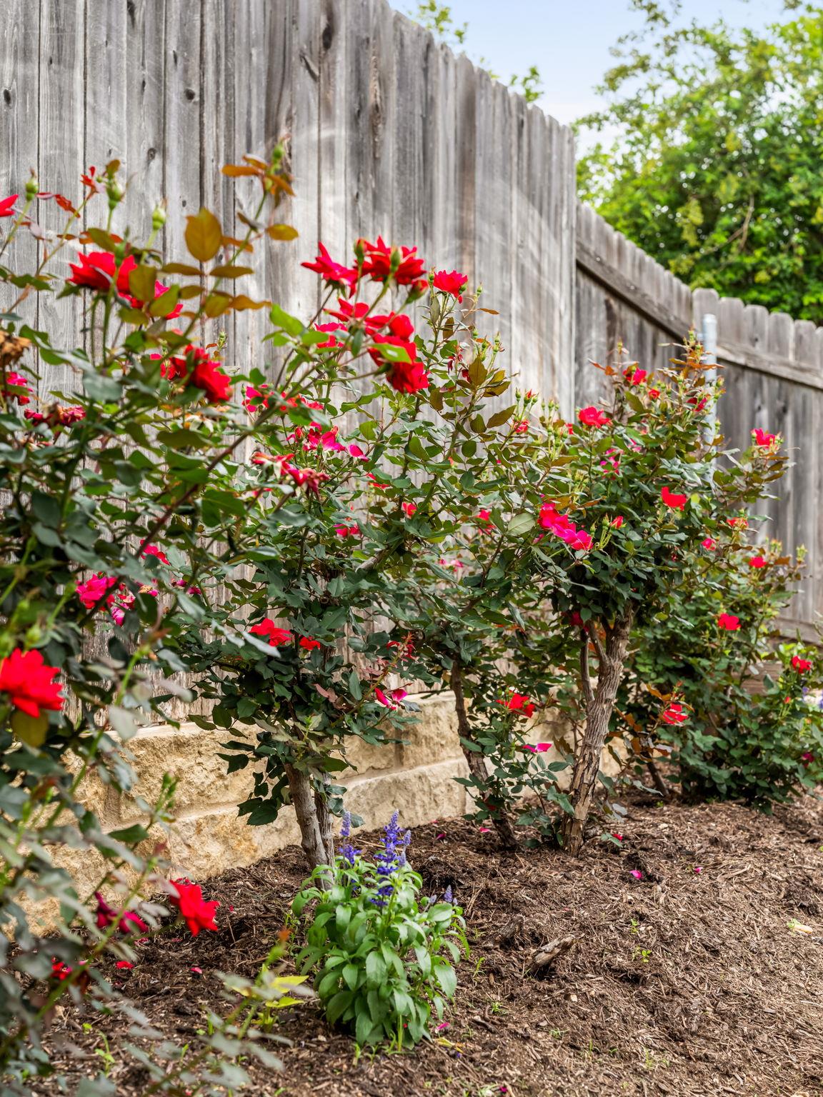 4318 Jinx Ave # 1, Austin, TX 78745