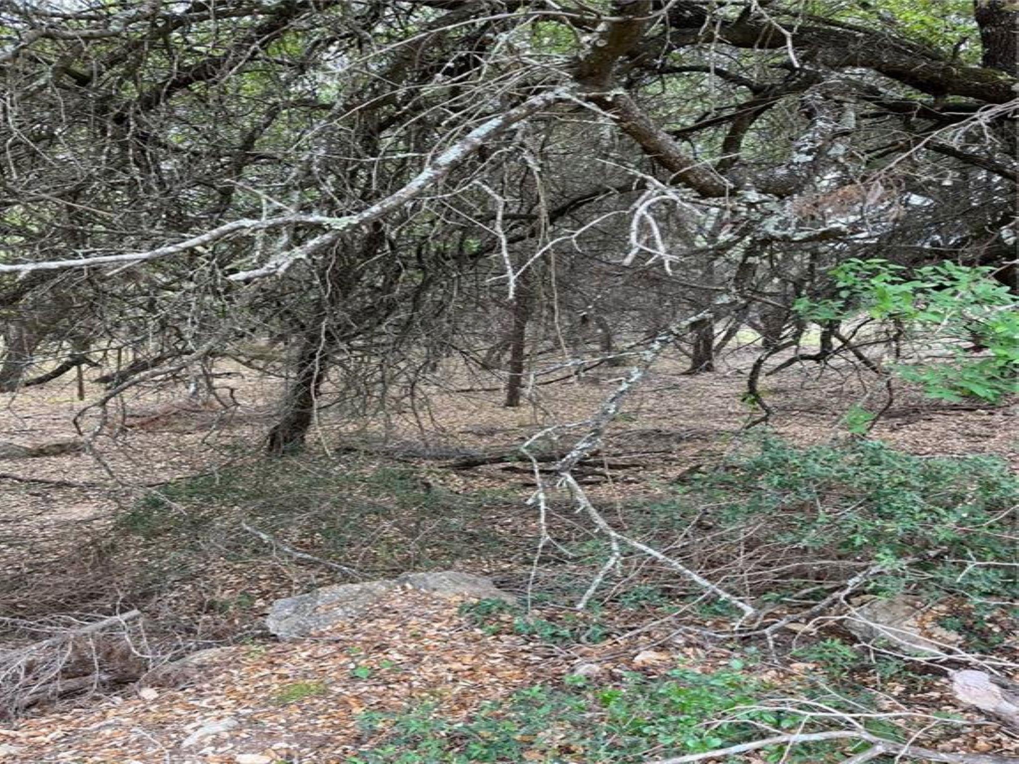 20715 Harrison Cv, Lago Vista, TX 78645