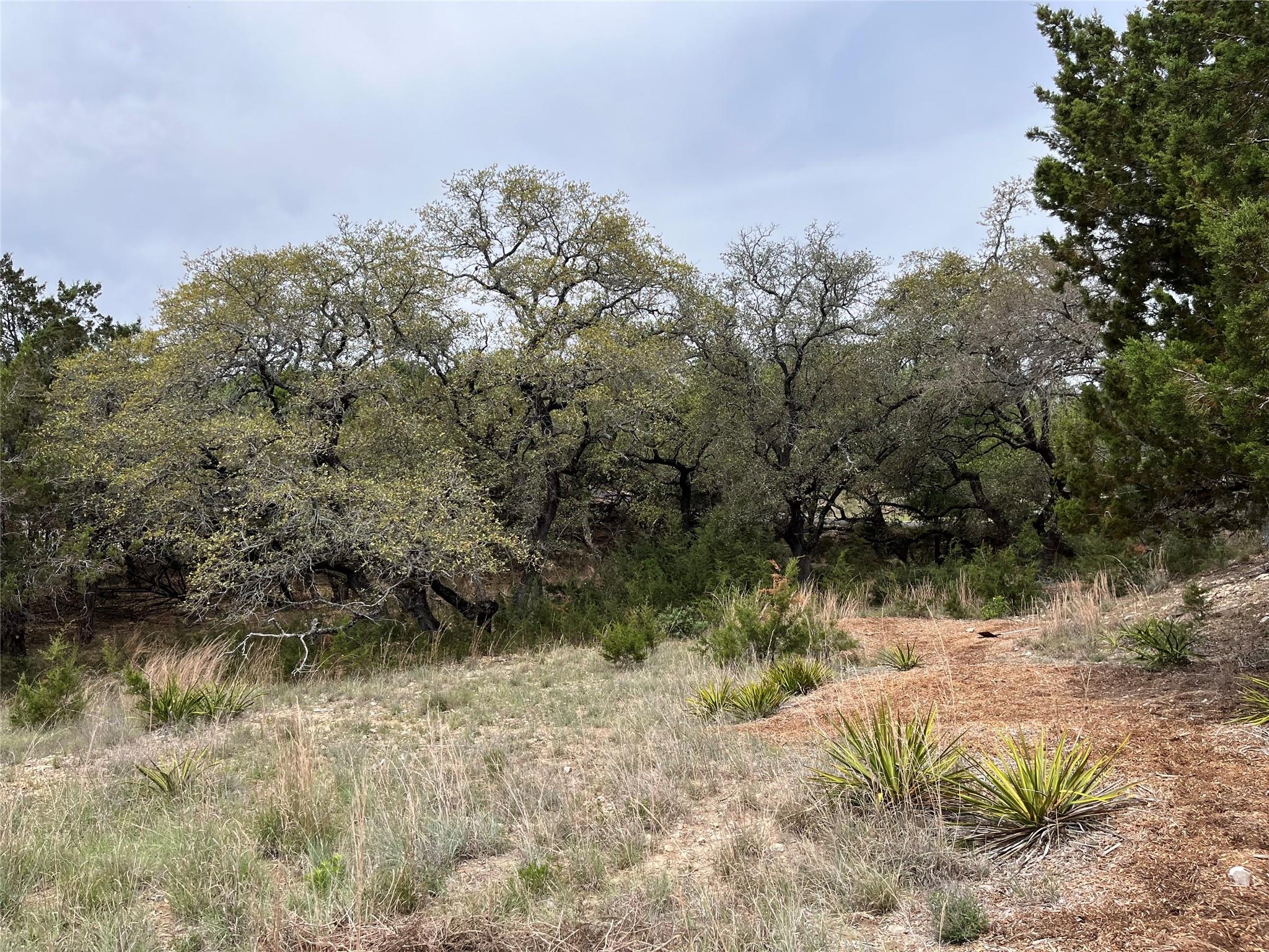 20715 Harrison Cv, Lago Vista, TX 78645