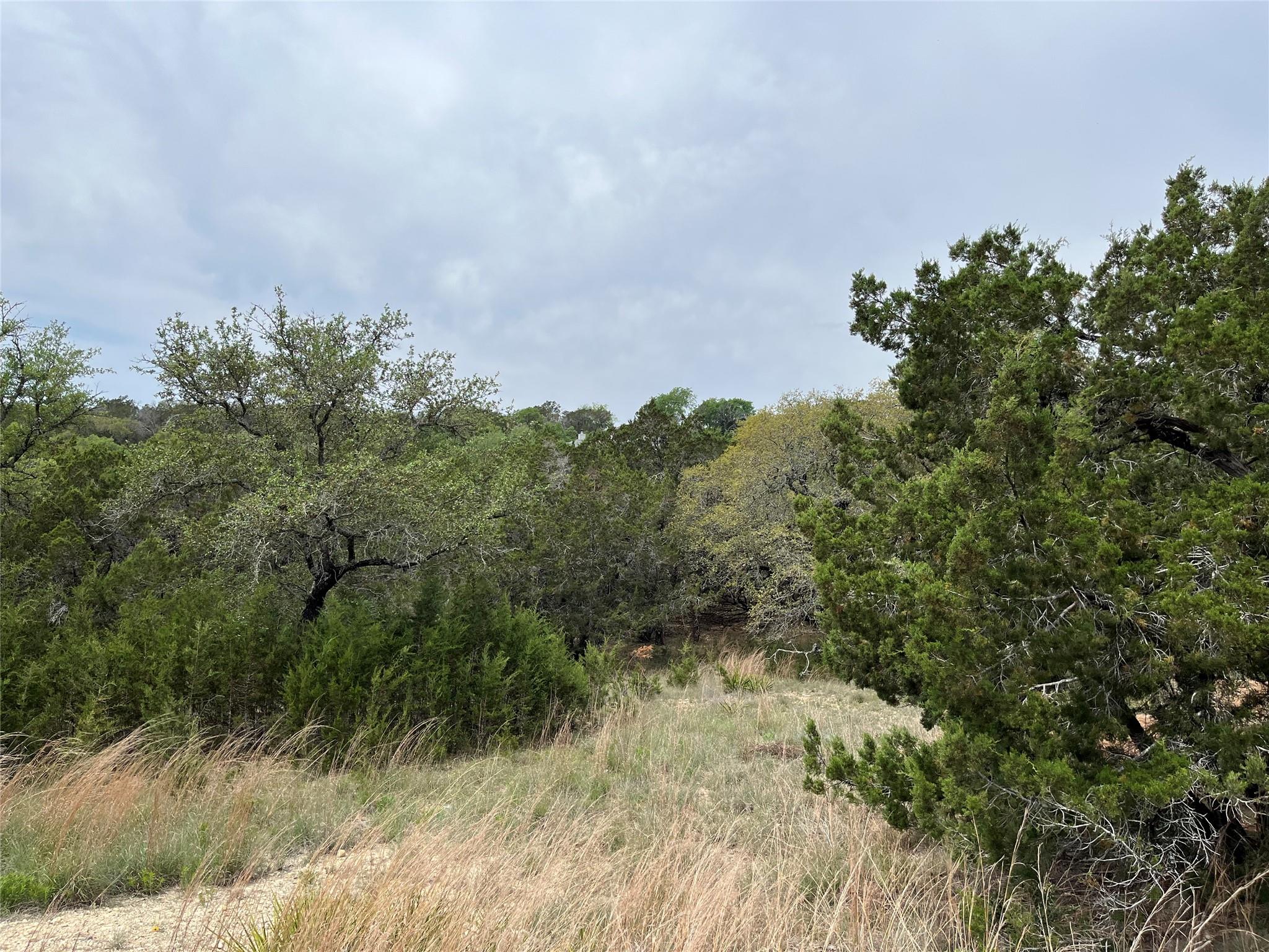 20715 Harrison Cv, Lago Vista, TX 78645