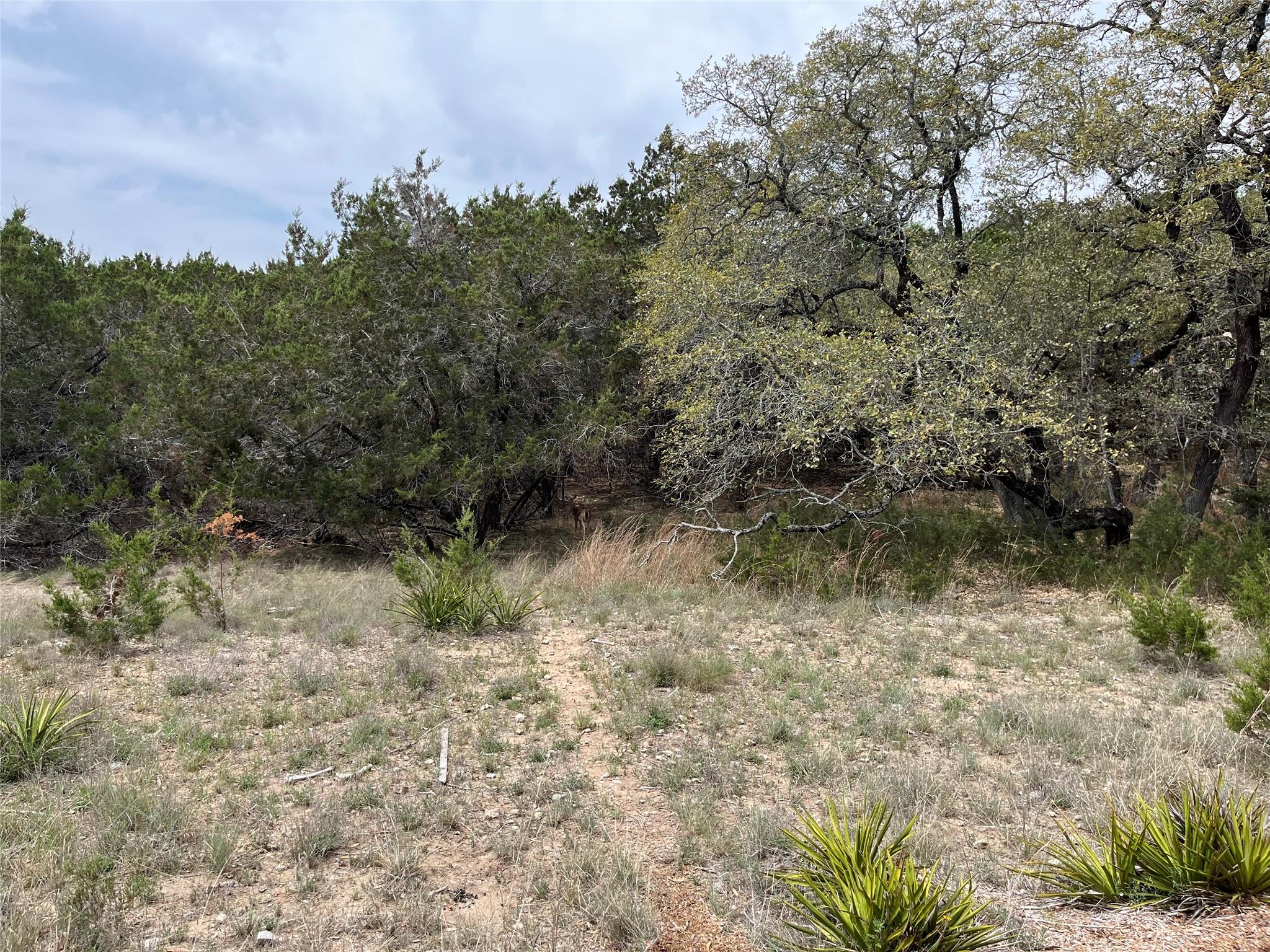 20715 Harrison Cv, Lago Vista, TX 78645