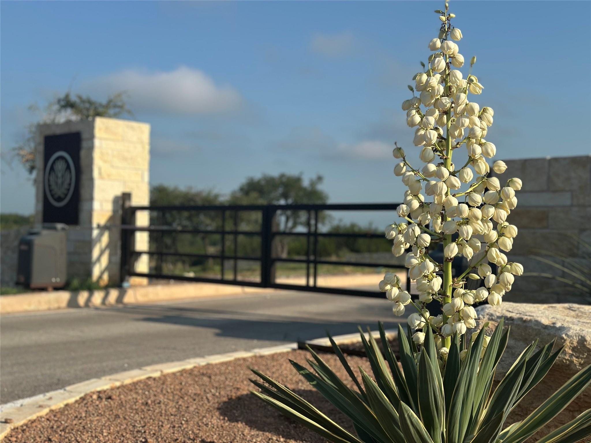 Lot 1 - 12.6 Acres - Round Mountain Reserve Dr, Round Mountain, TX 78663