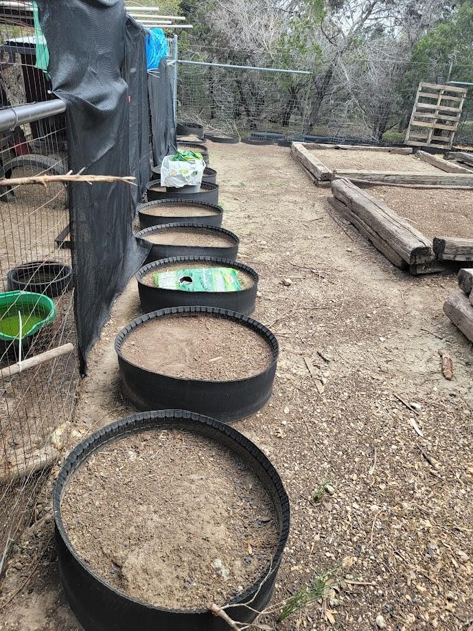 10501 Hill Country Skyline, Dripping Springs, TX 78620