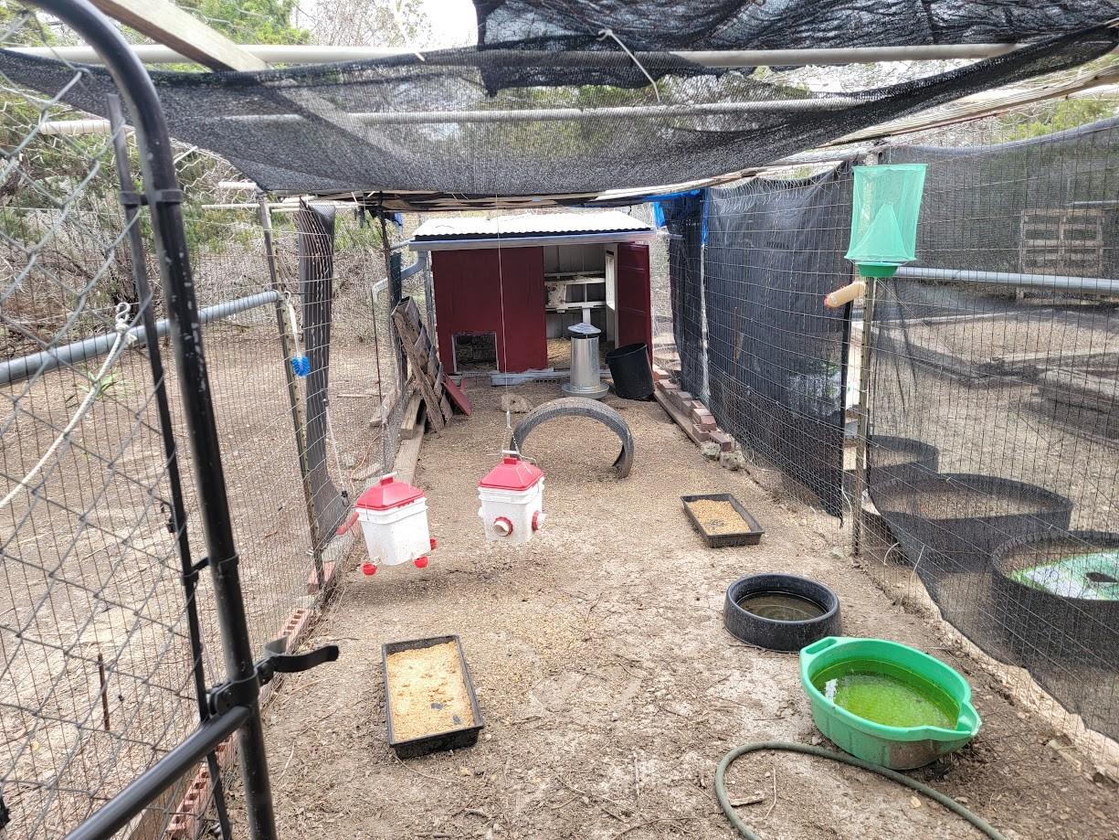 10501 Hill Country Skyline, Dripping Springs, TX 78620