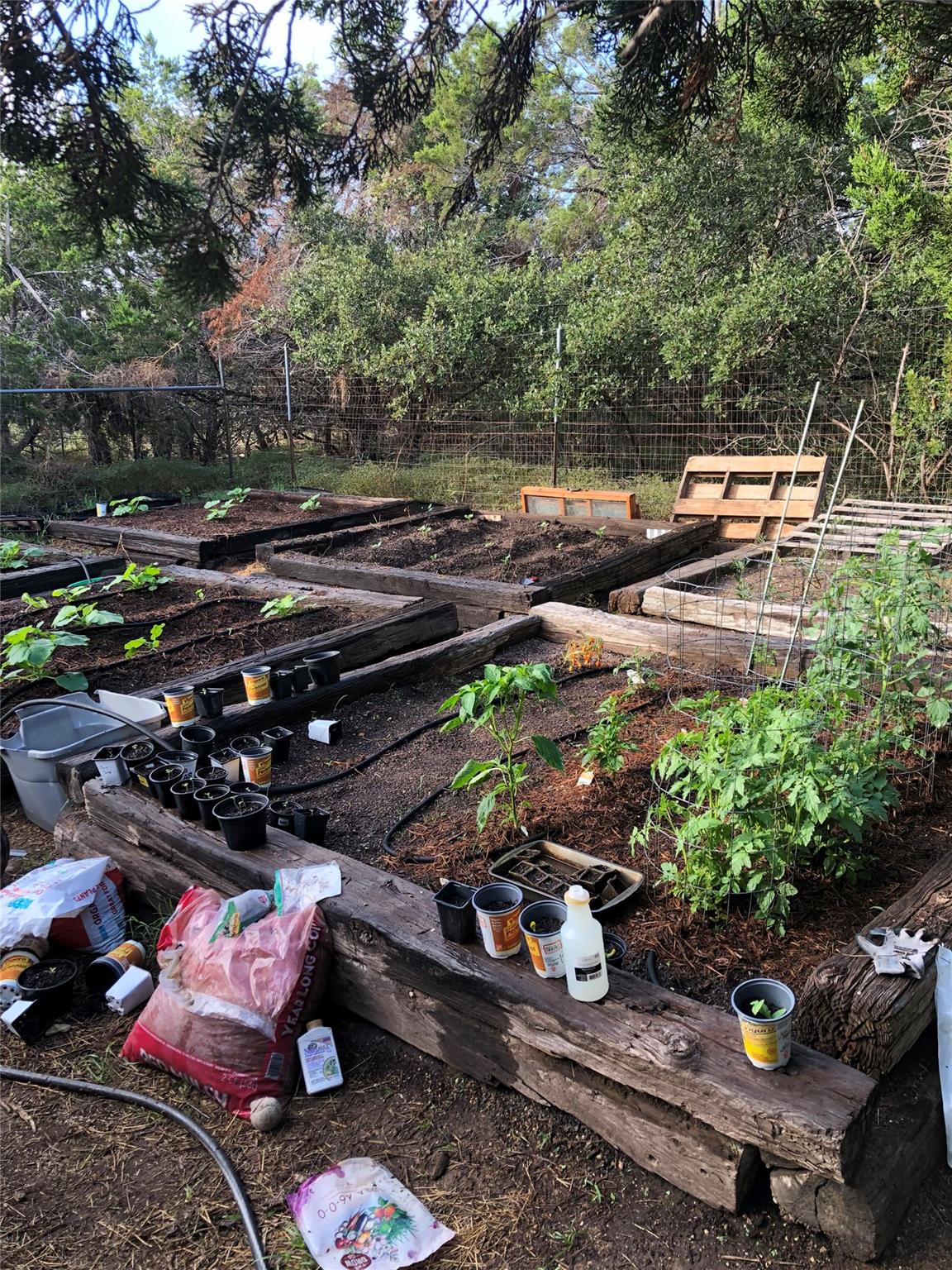 10501 Hill Country Skyline, Dripping Springs, TX 78620